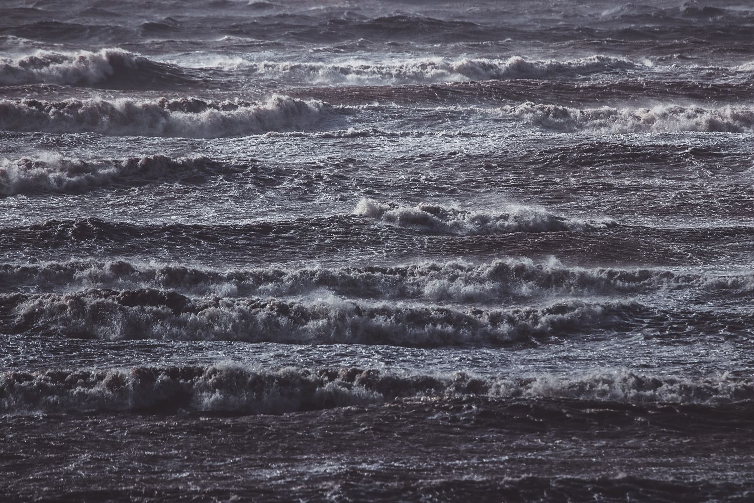 Ocean