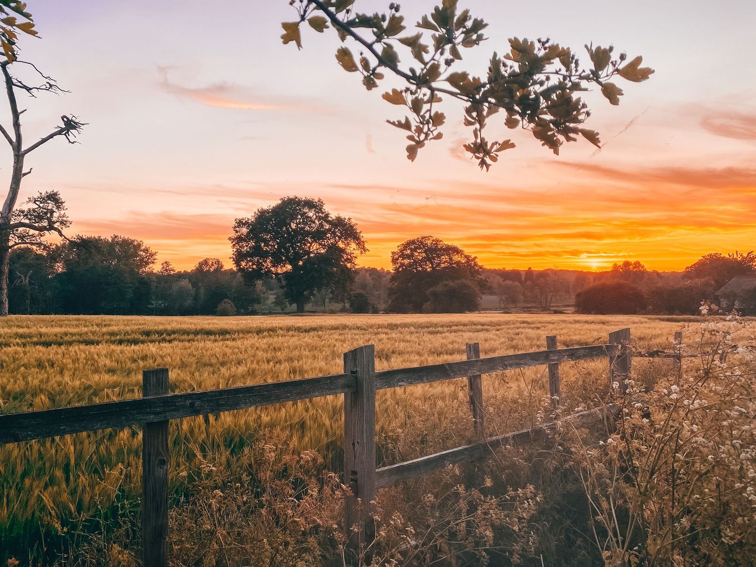 Sunset