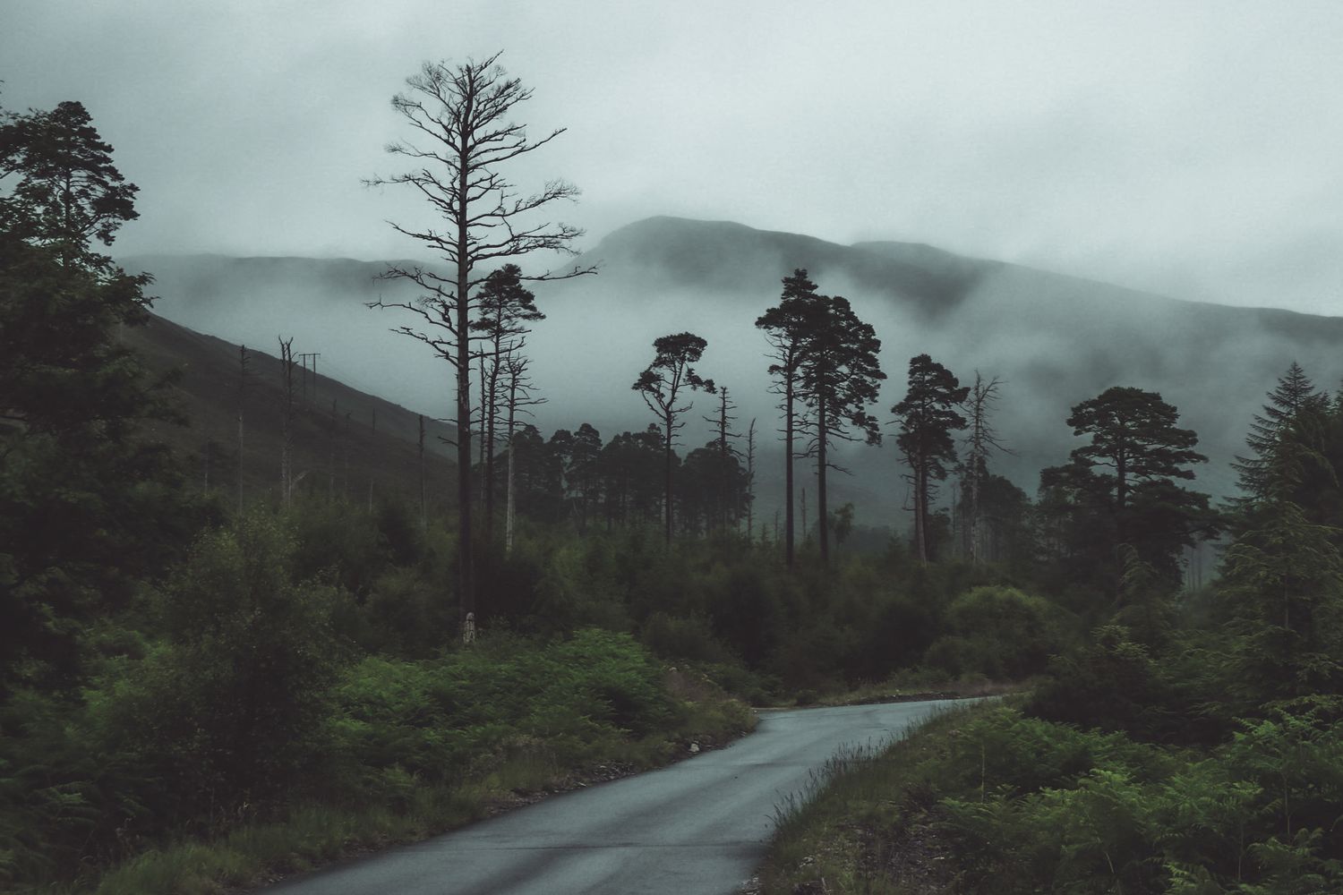Scotland