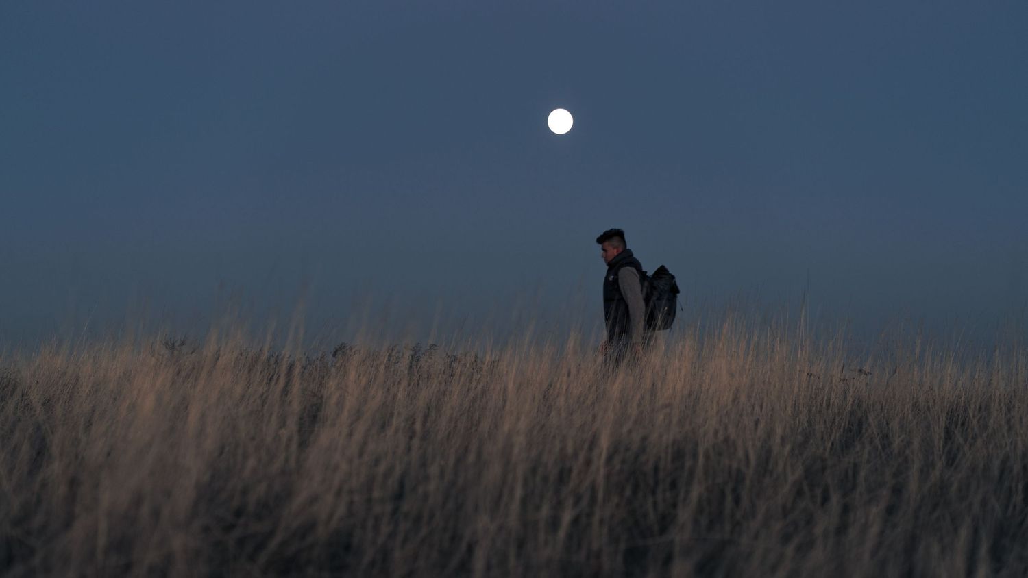 Two silhouettes stand in tall grass against a dusky blue sky with full moon.