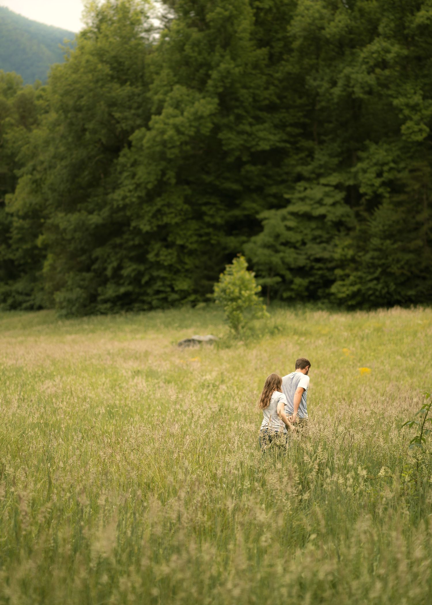 A couple walks through a tall grass meadow with mountains and forest in the background.