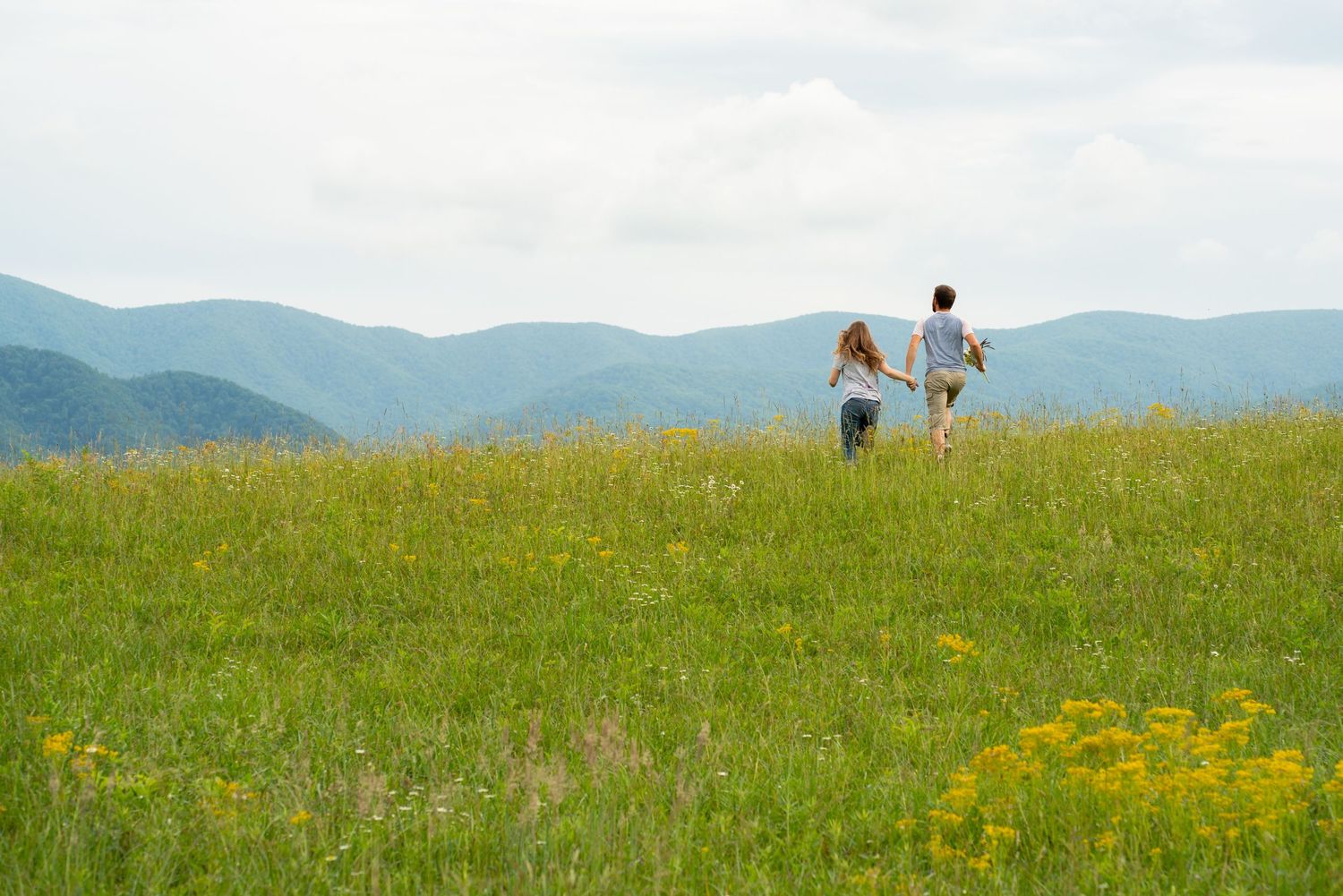 Two figures walking through a meadow with mountains in the distance.