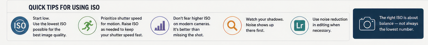 Quick tips infographic for using SEO with icons and text guidance on best practices for search engine optimization.