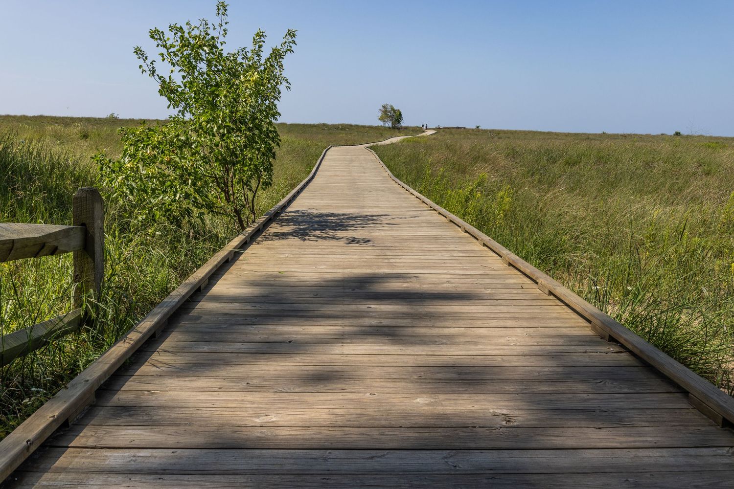 Wooden boardwalk path through green marshland leading to the horizon on a sunny day.