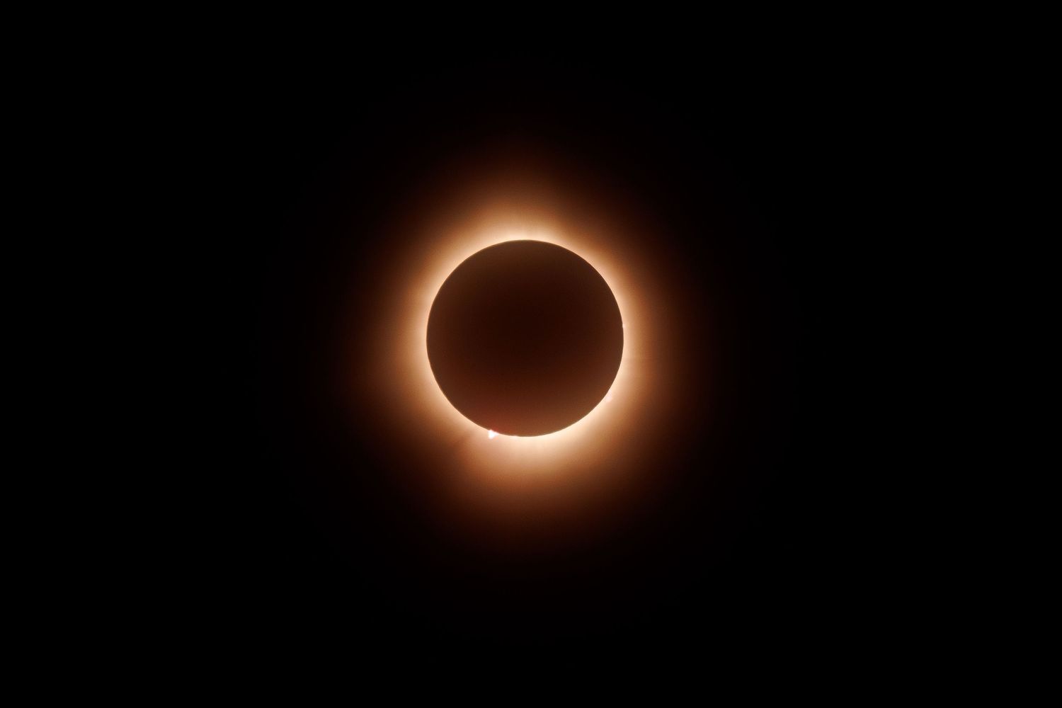 A stunning total solar eclipse with glowing golden corona against a black sky.