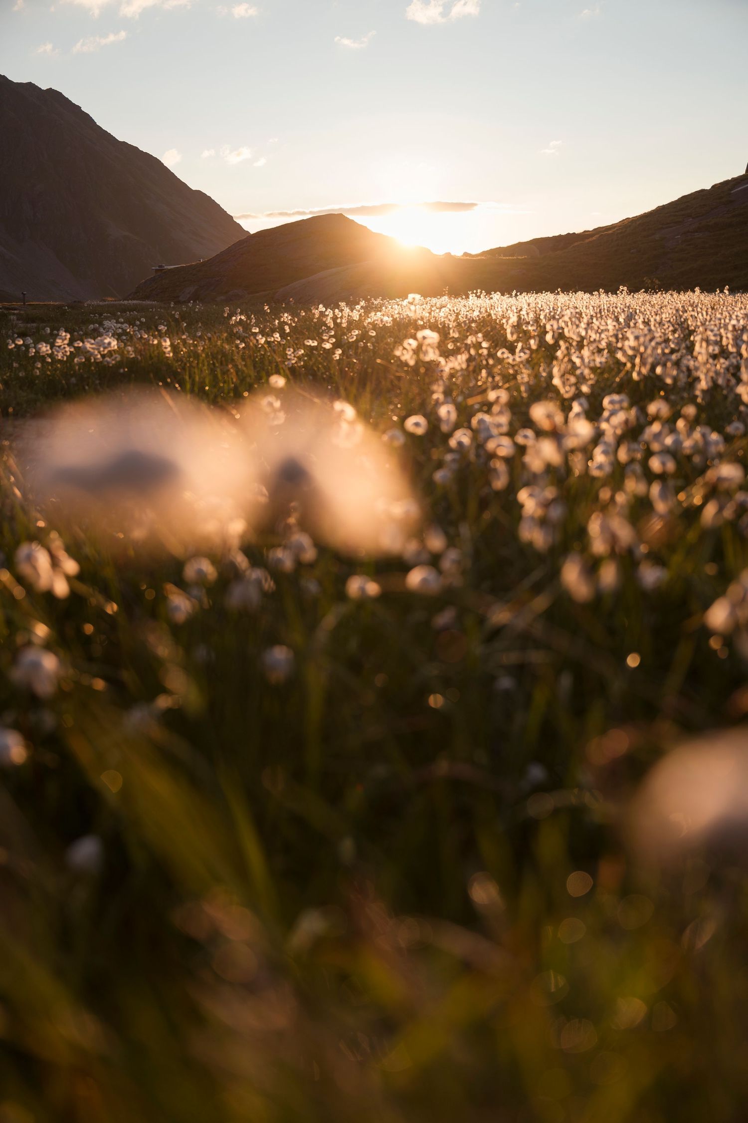 Sonnenuntergang - Achensee - Hochzeiten