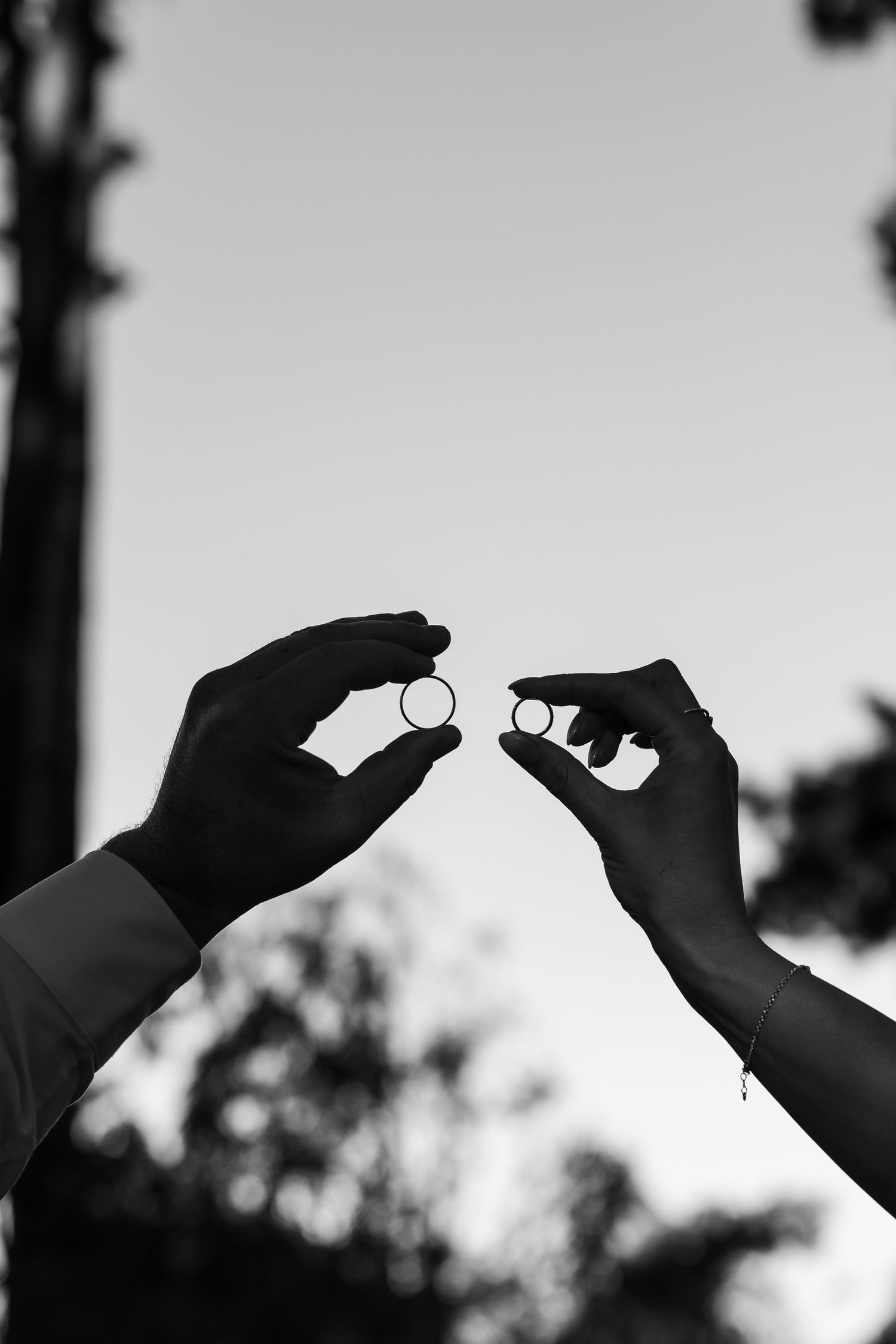 A series of silhouetted hands reaching up to catch or hold a small circular object against a bright sky background.