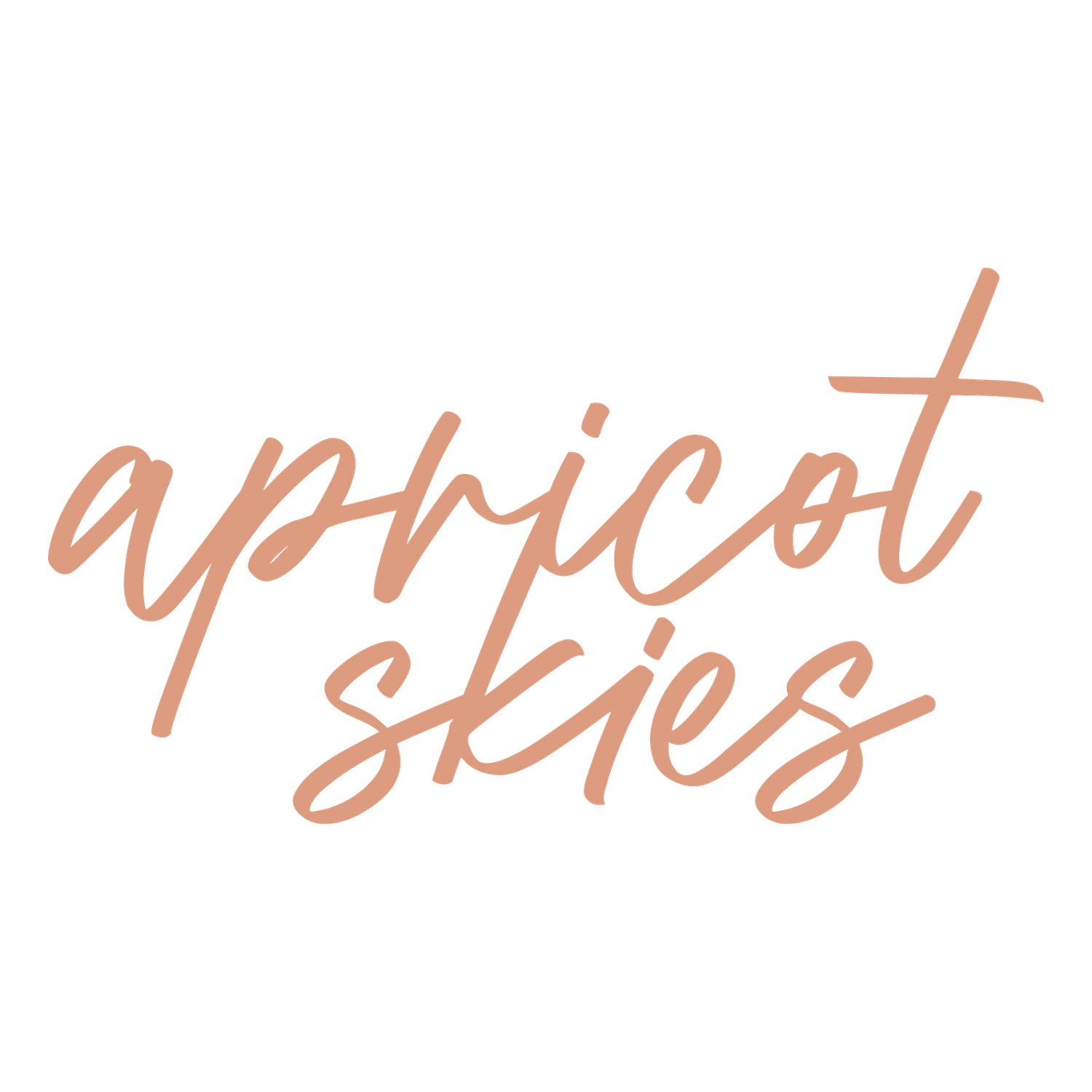 Stylish text reading 'apricot skies' in cursive coral script against a black background.