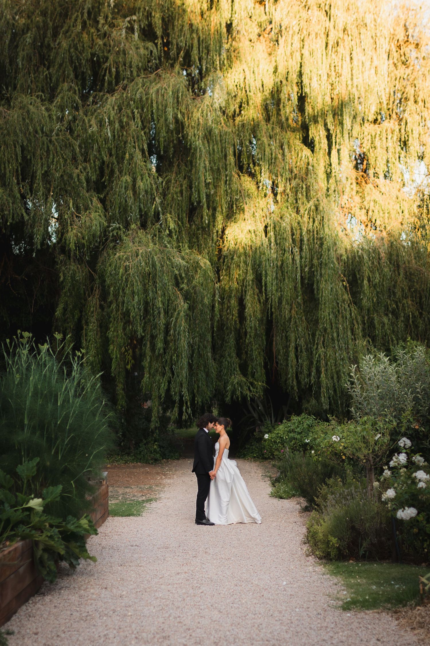 A couple stands on a garden path beneath dramatic weeping willow trees in a romantic garden setting.