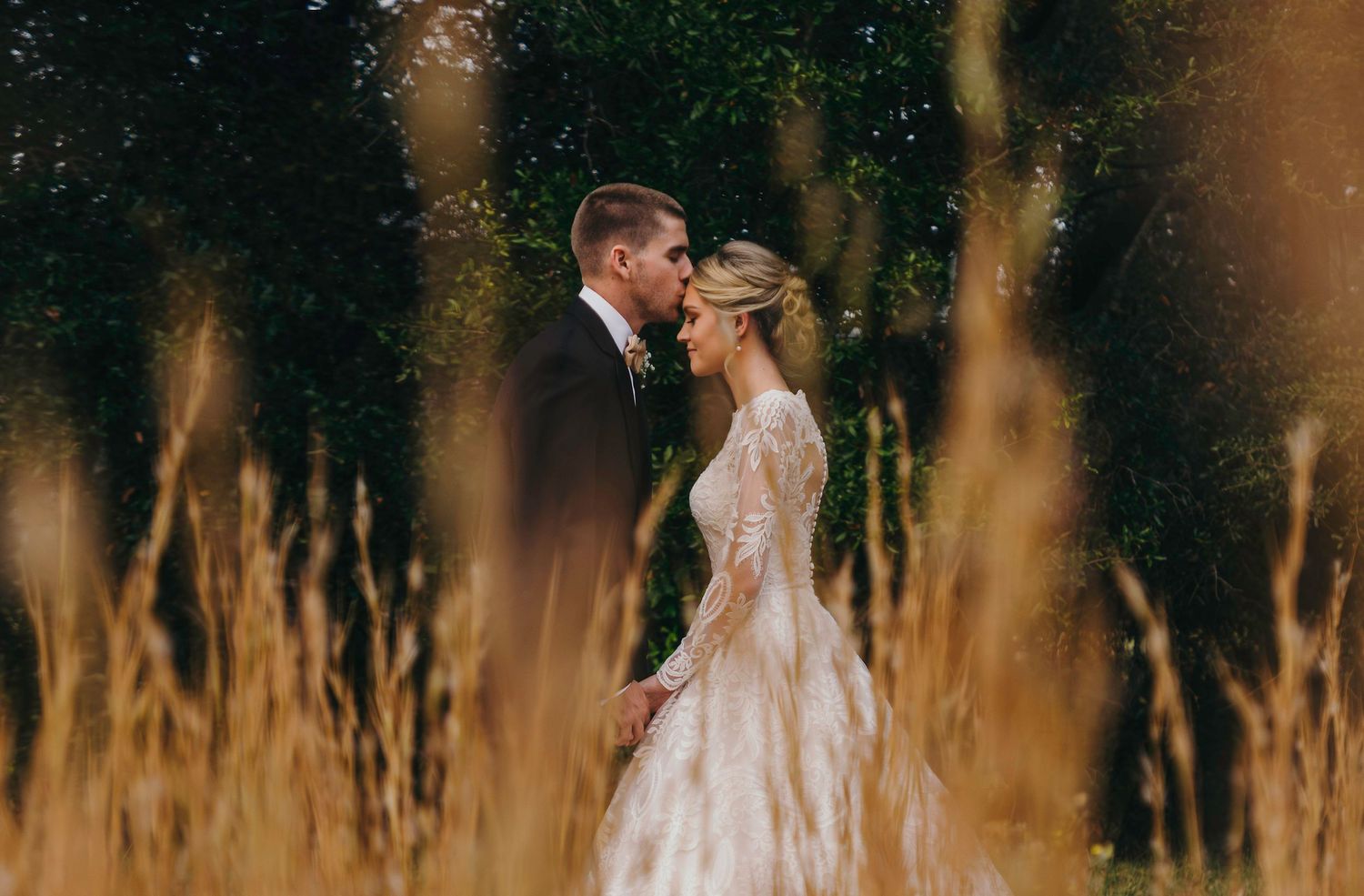 Romantic wedding portrait through golden wheat with soft natural lighting.