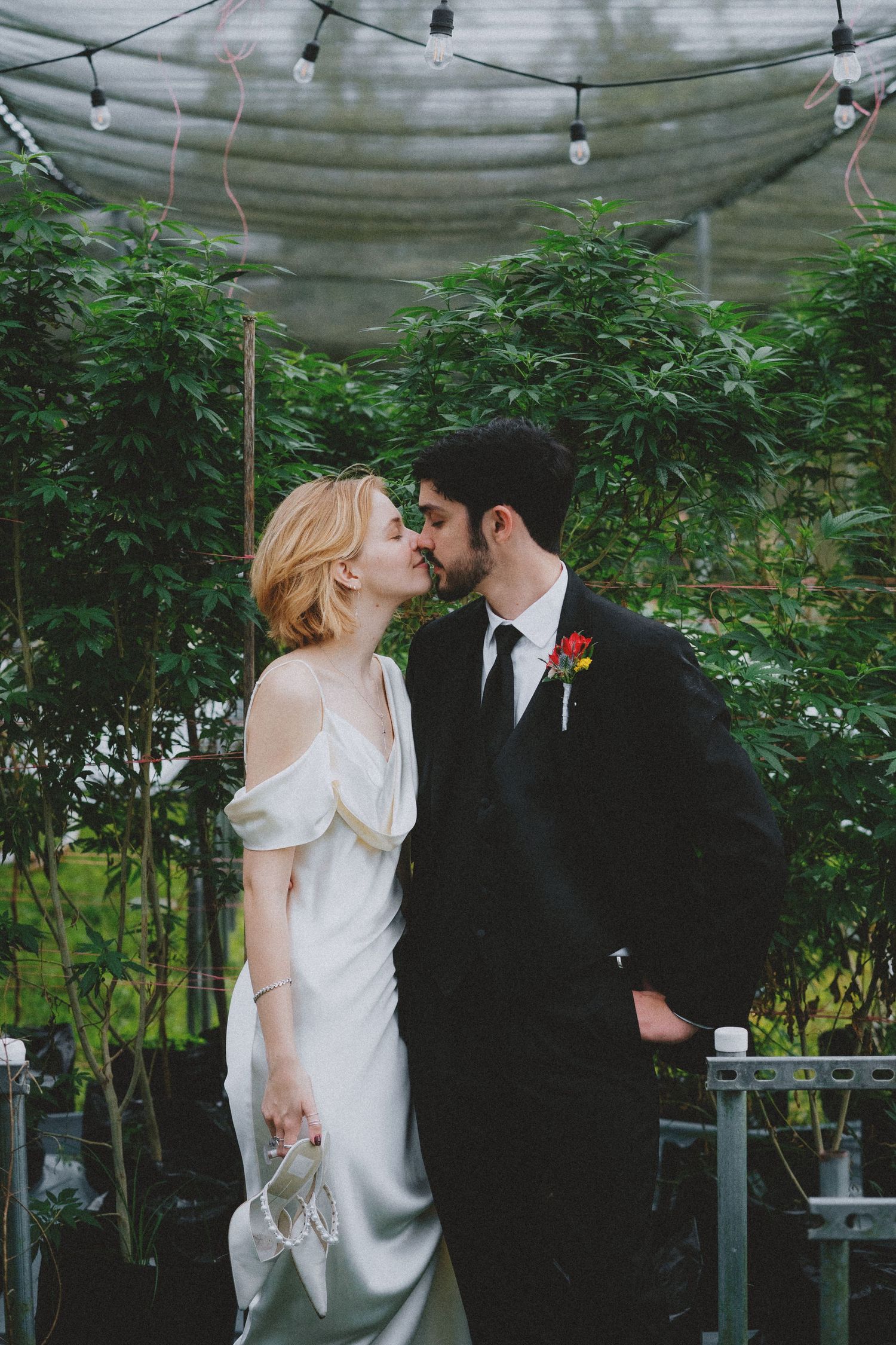 Bride and groom share a romantic kiss in a lush greenhouse setting, she in a satin gown, he in a black suit.