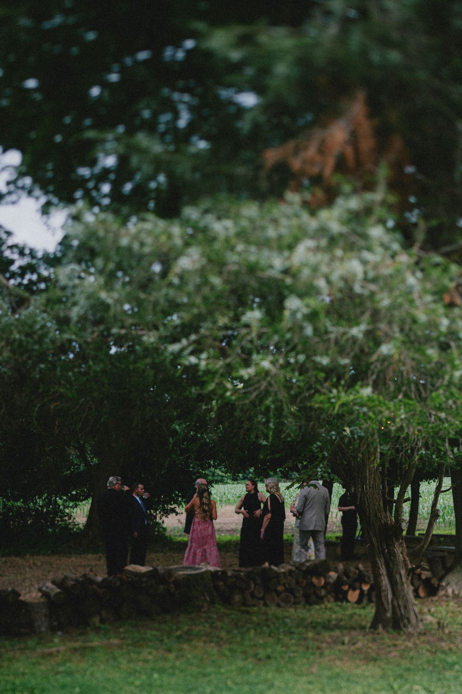 Guests in formal attire gather outdoors among lush green trees at an elegant garden wedding celebration.