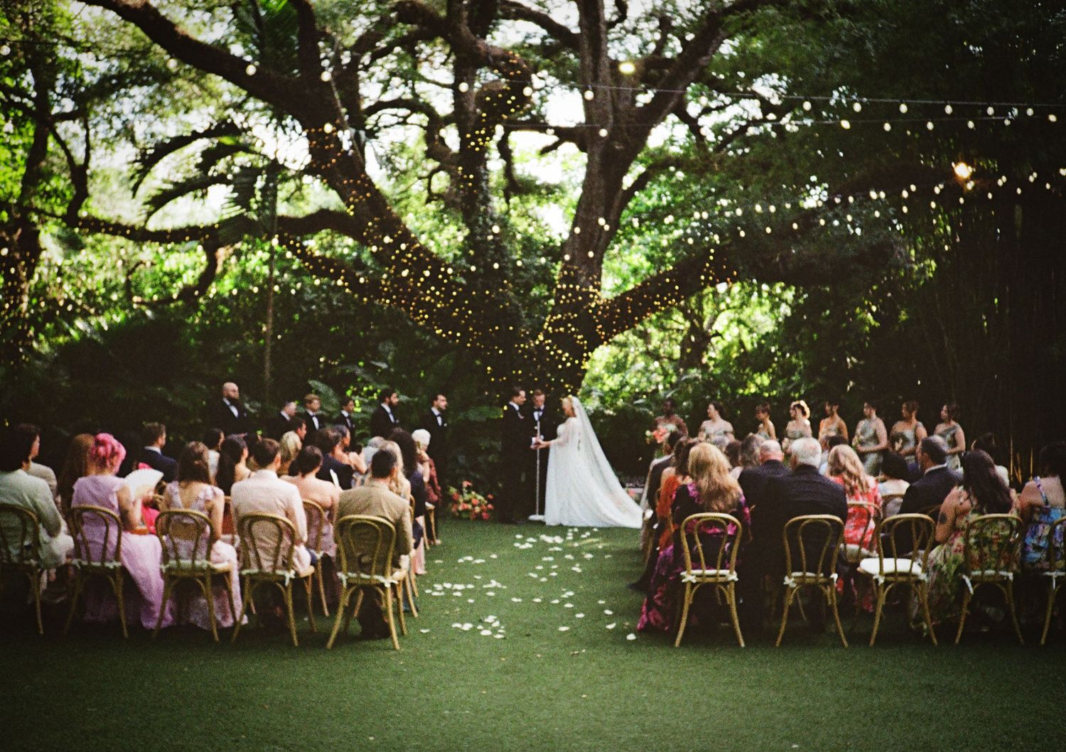 Outdoor wedding ceremony under a large oak tree with string lights, guests seated on chairs on green lawn.