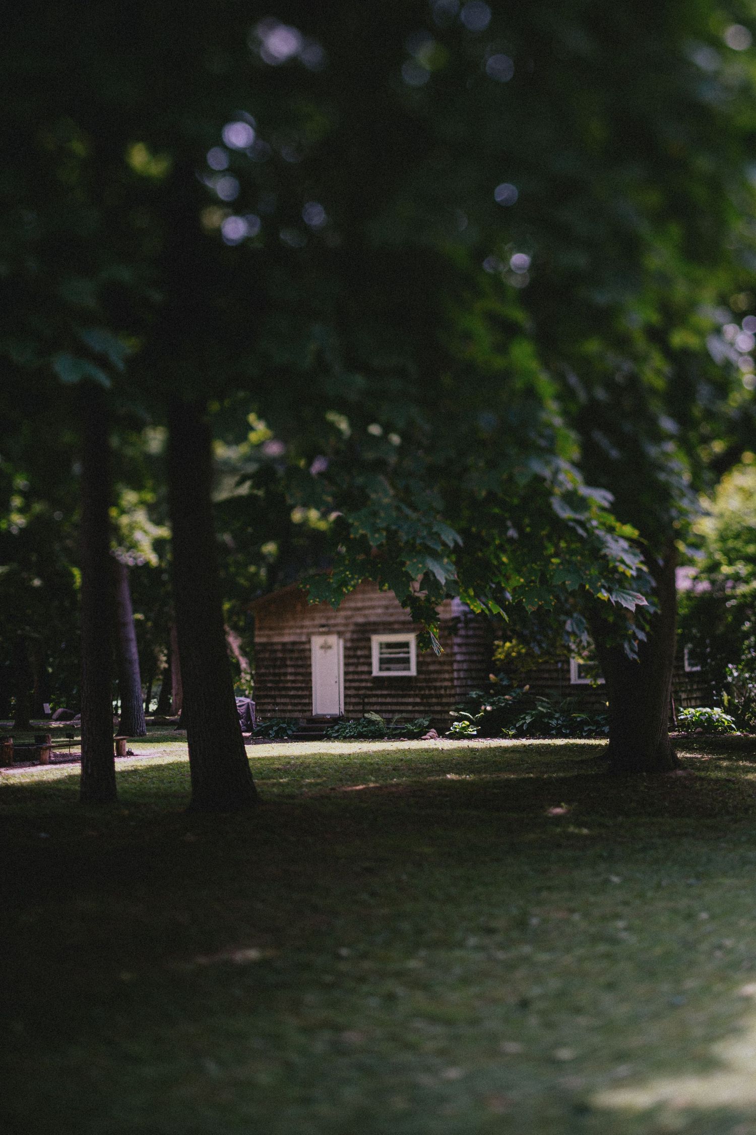 A cozy wooden cottage nestled among lush green trees in a shaded yard on a sunny summer day.