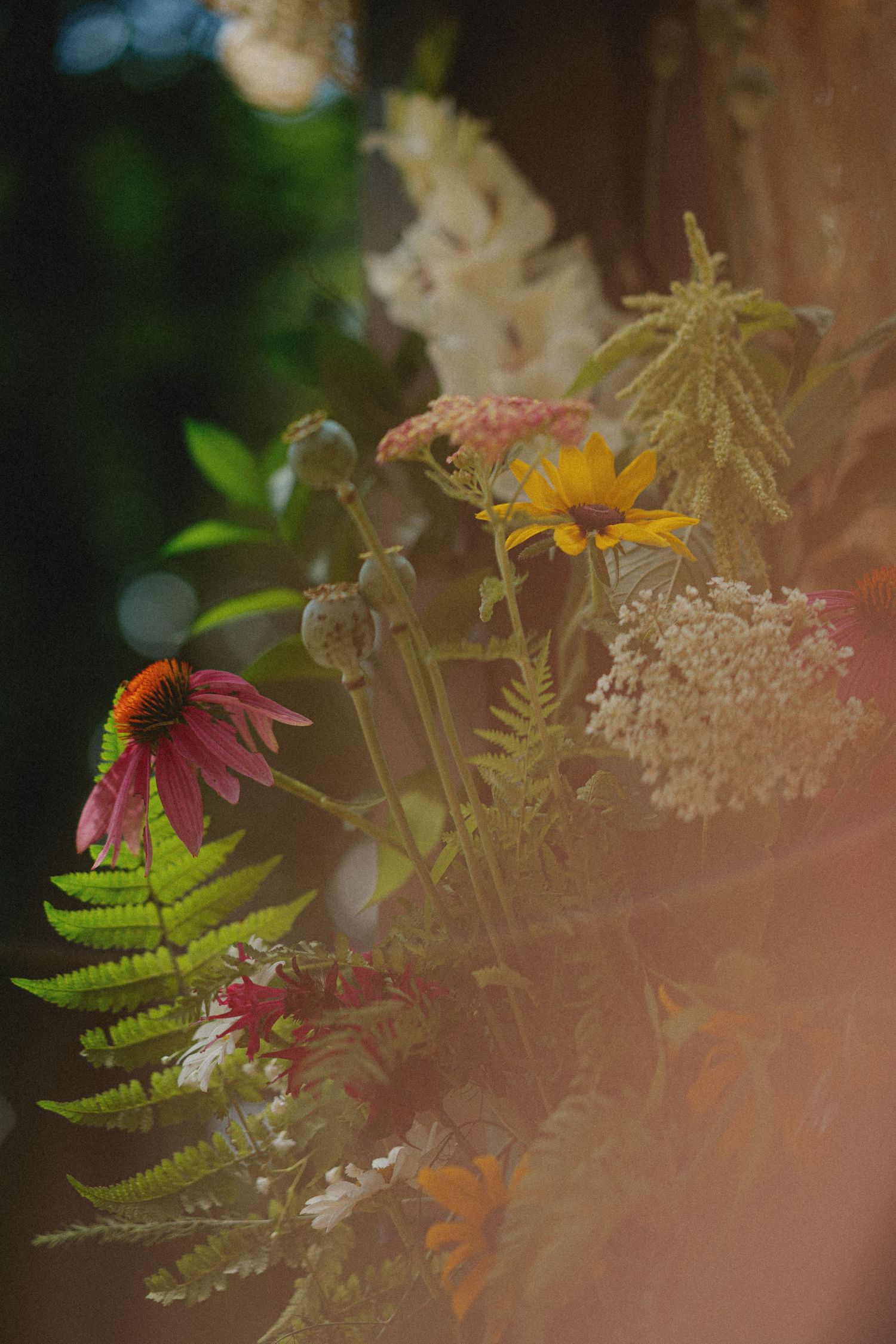 Wildflower bouquet with purple echinacea, yellow rudbeckia, white yarrow, and ferns in warm golden sunlight.