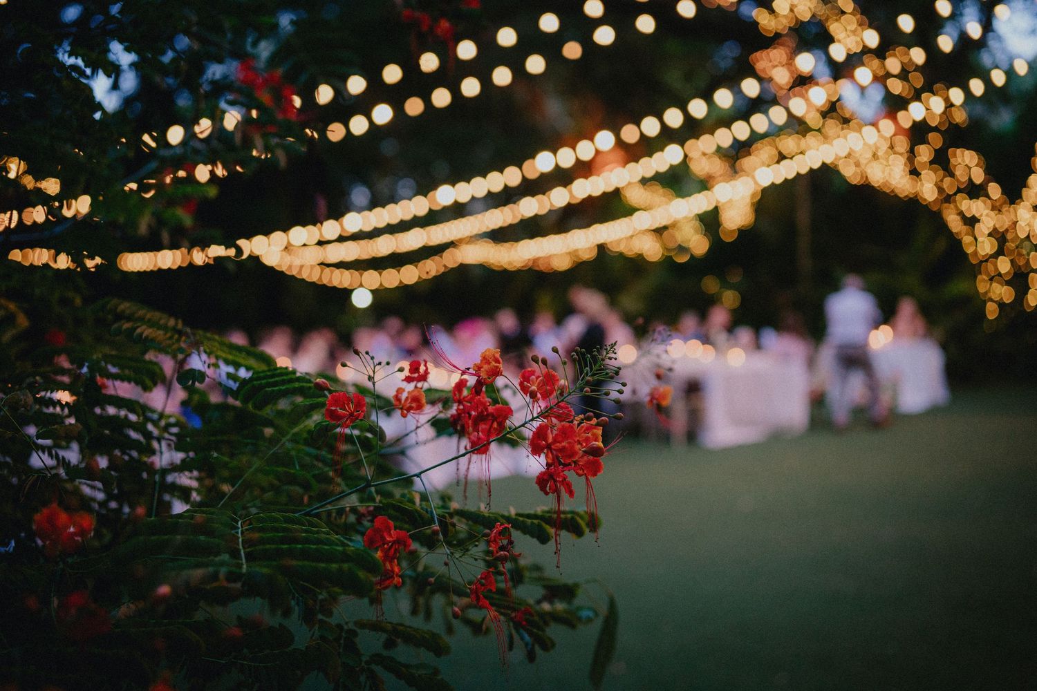 Red flowers in foreground with string lights and blurred wedding reception guests in background at dusk.
