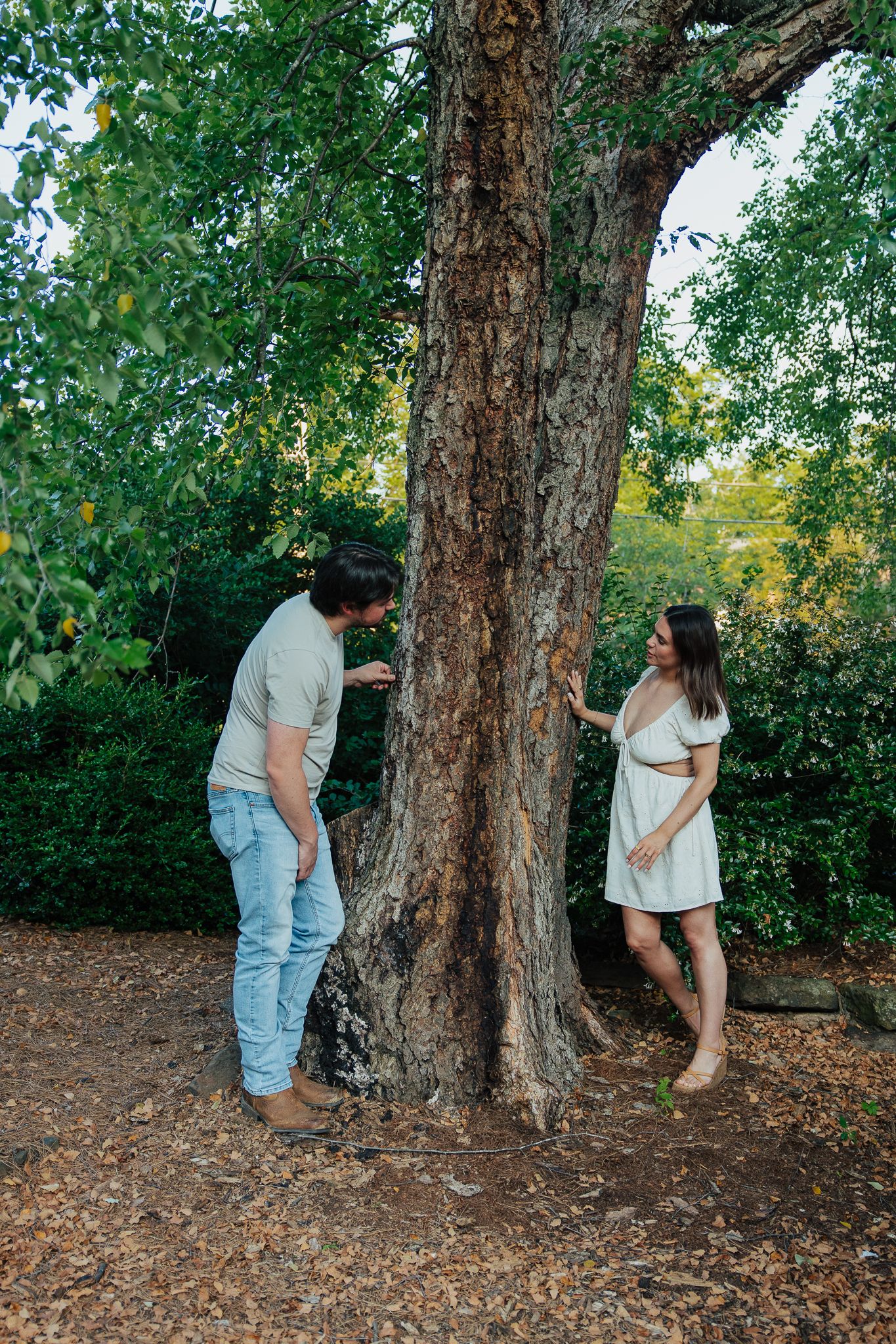 Couple playfully interacting around a large tree trunk in a lush green park setting.