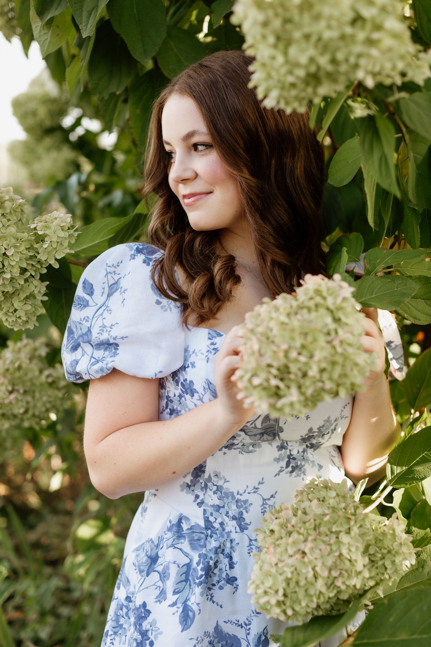 Young woman in blue floral dress holding hydrangea blooms among lush green garden foliage.