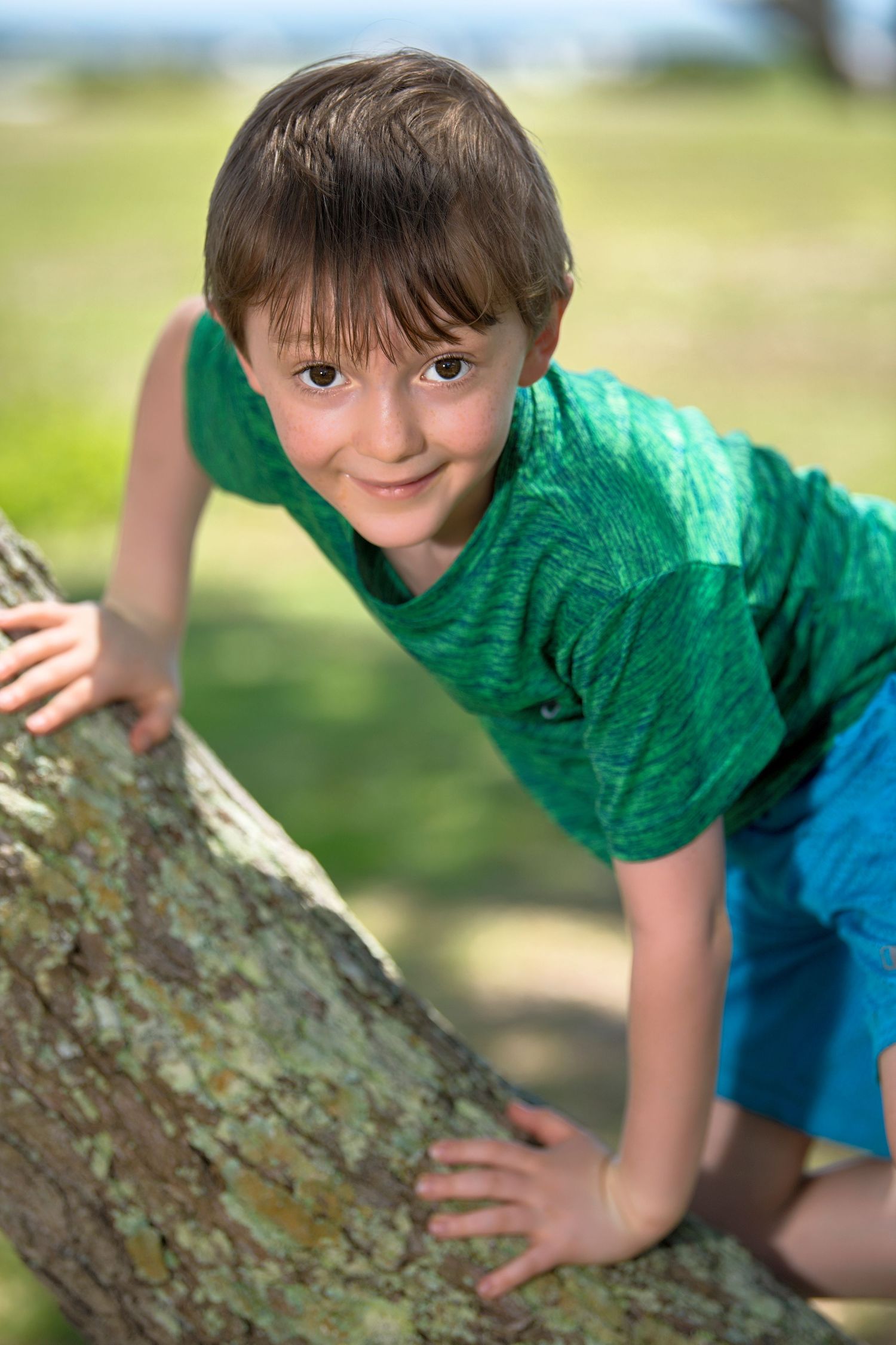 Young boy in green shirt climbing a tree in a sunny outdoor park setting.