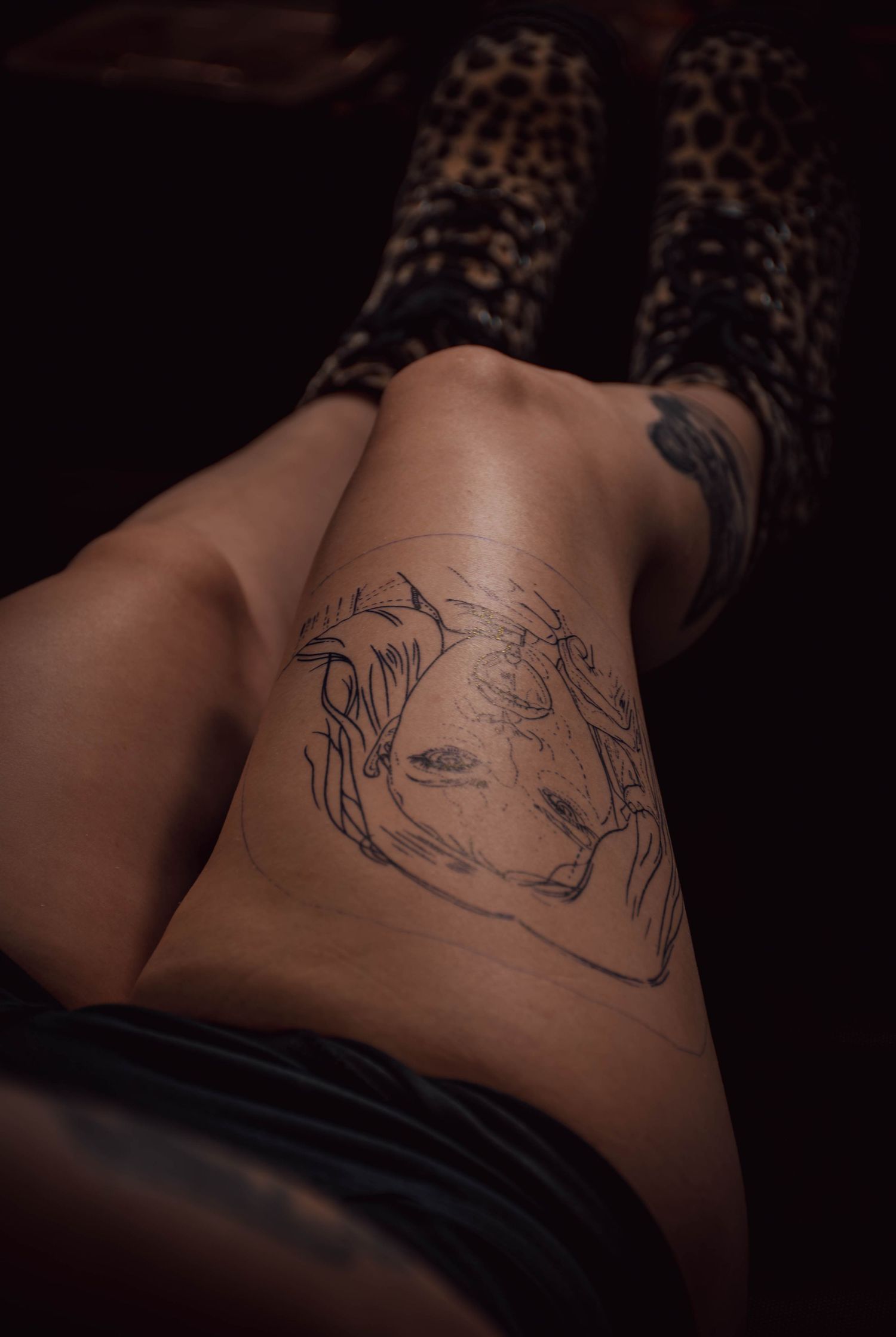 Close-up of a detailed outline tattoo sketch on a thigh, with leopard print stockings visible in the background.