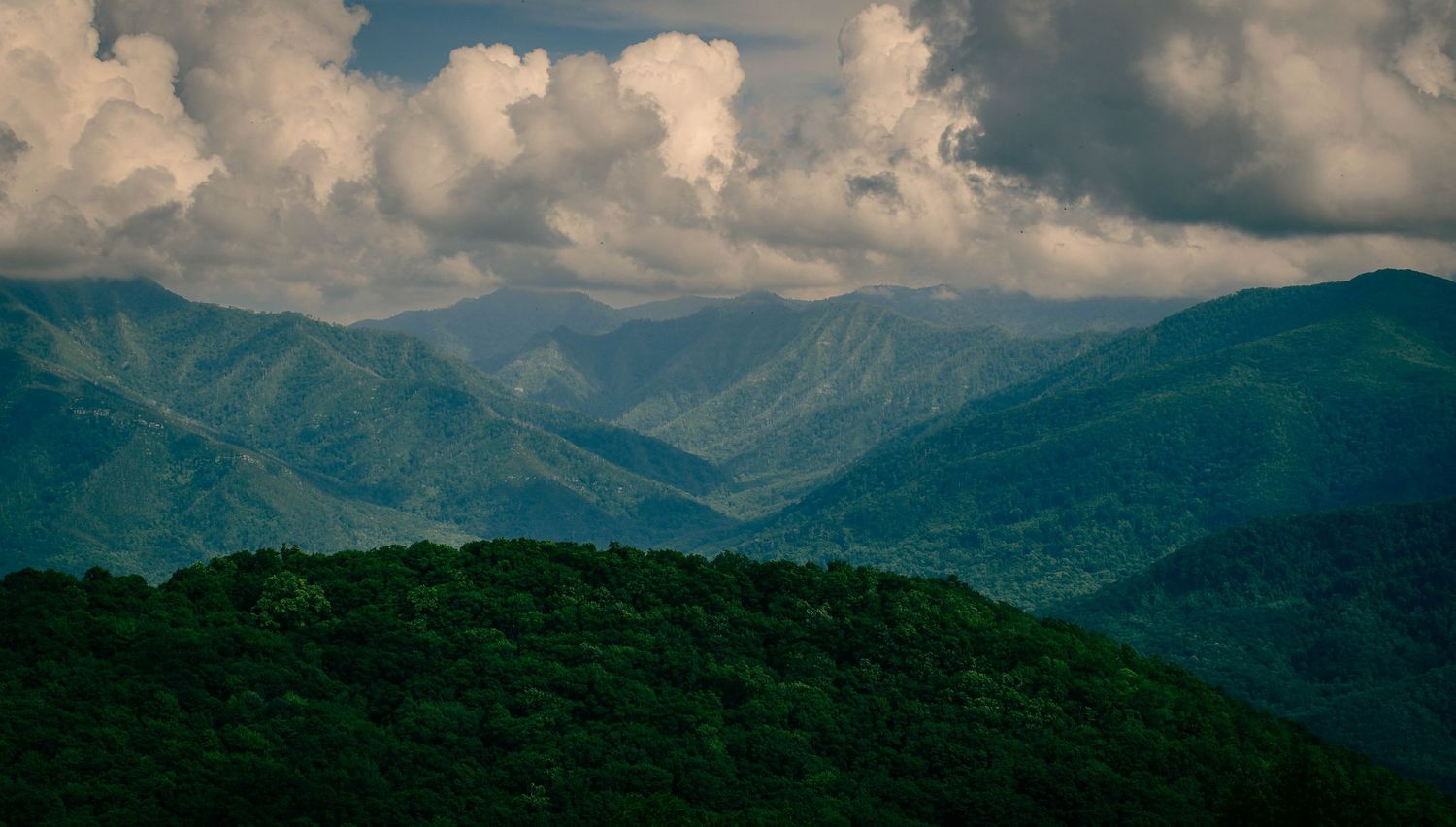Lush green mountain ranges stretch into the distance under dramatic clouds in the Great Smoky Mountains.