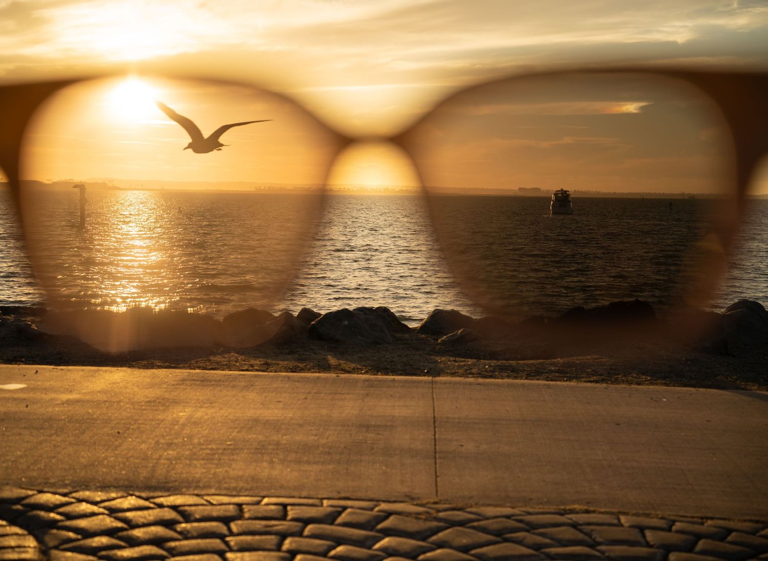 Sunset view through sunglasses lenses over ocean with seagull in flight and golden light reflecting on water.