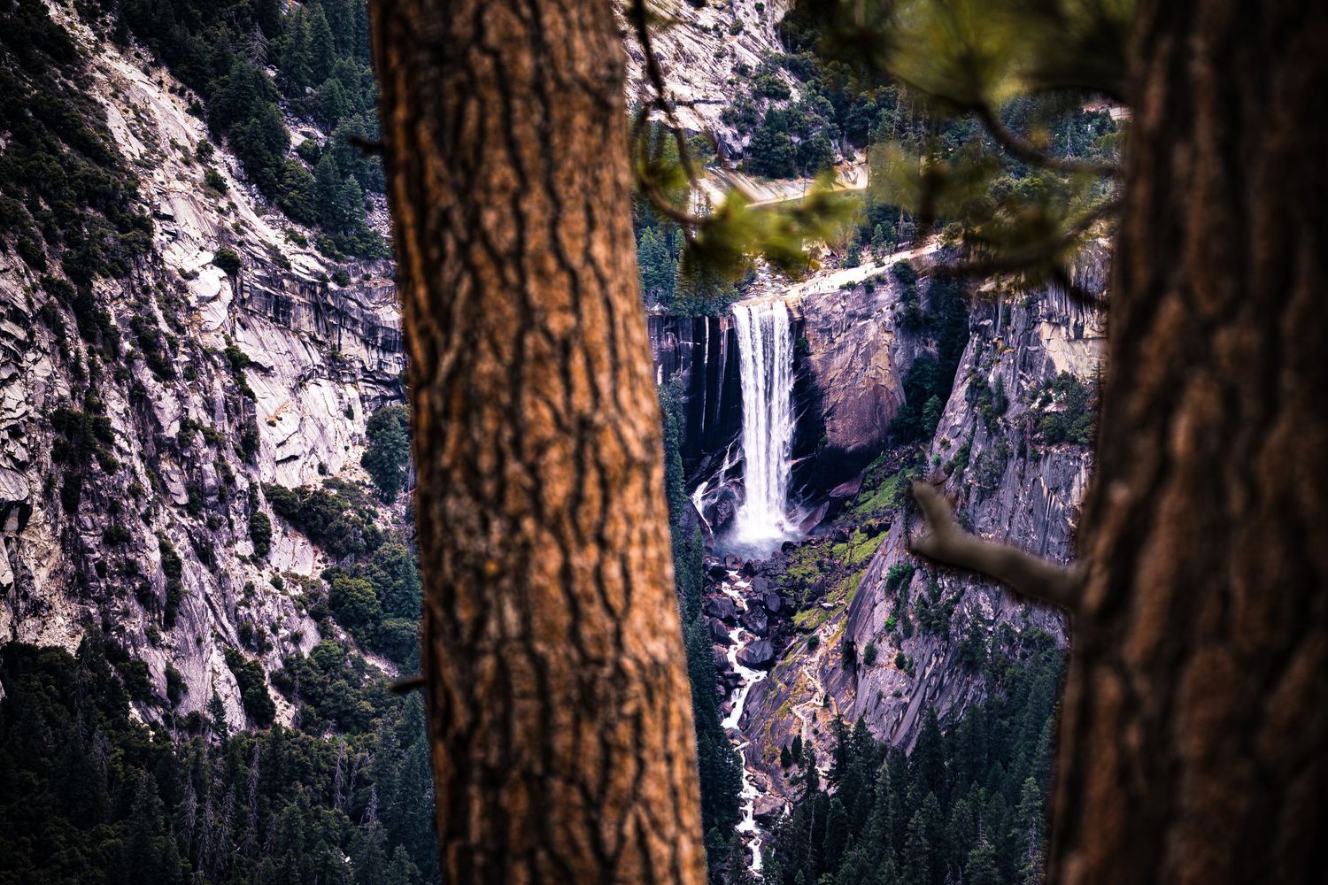 Waterfall cascading down rocky cliffs framed by tall pine trees in Yosemite National Park.