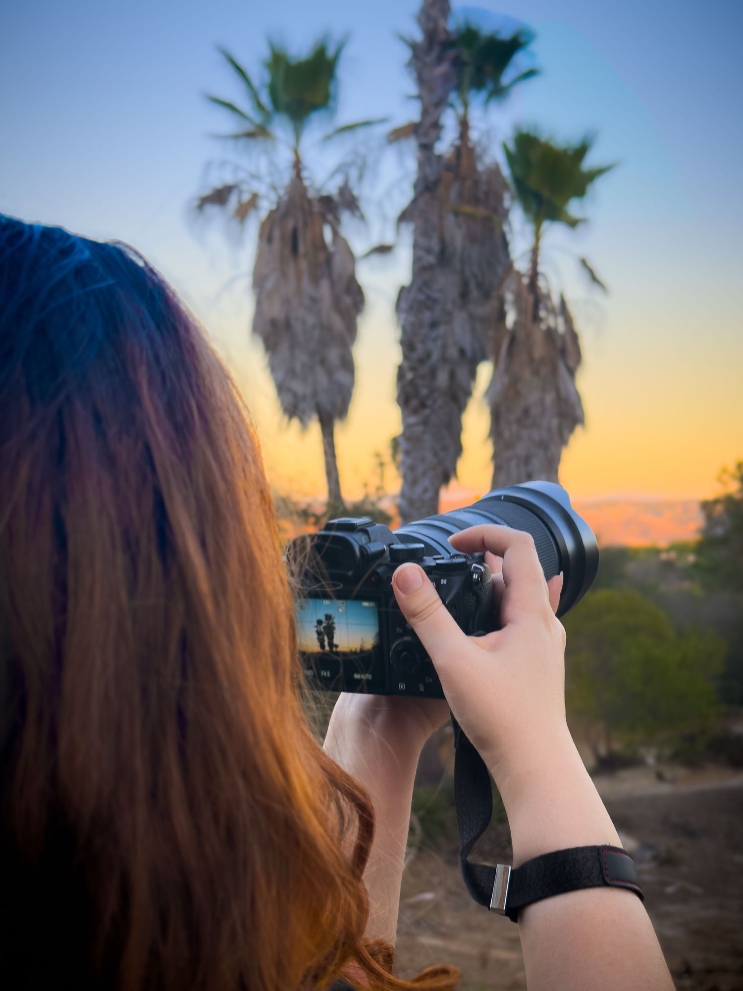 Woman photographing two palm trees at sunset with a mirrorless camera, golden sky visible in the background.