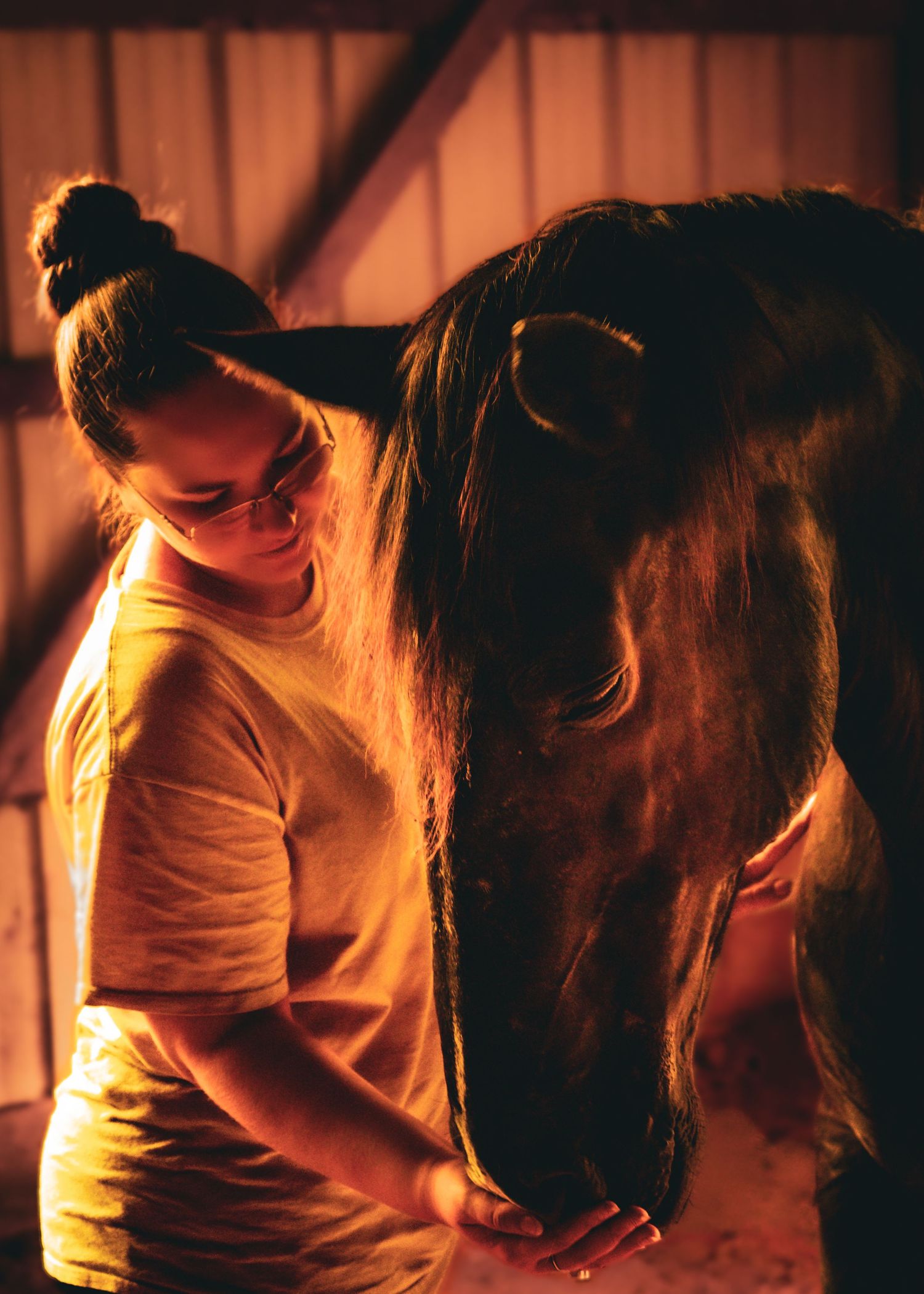 A young woman with hair in a bun tenderly bonds with a dark horse in warm golden barn light.