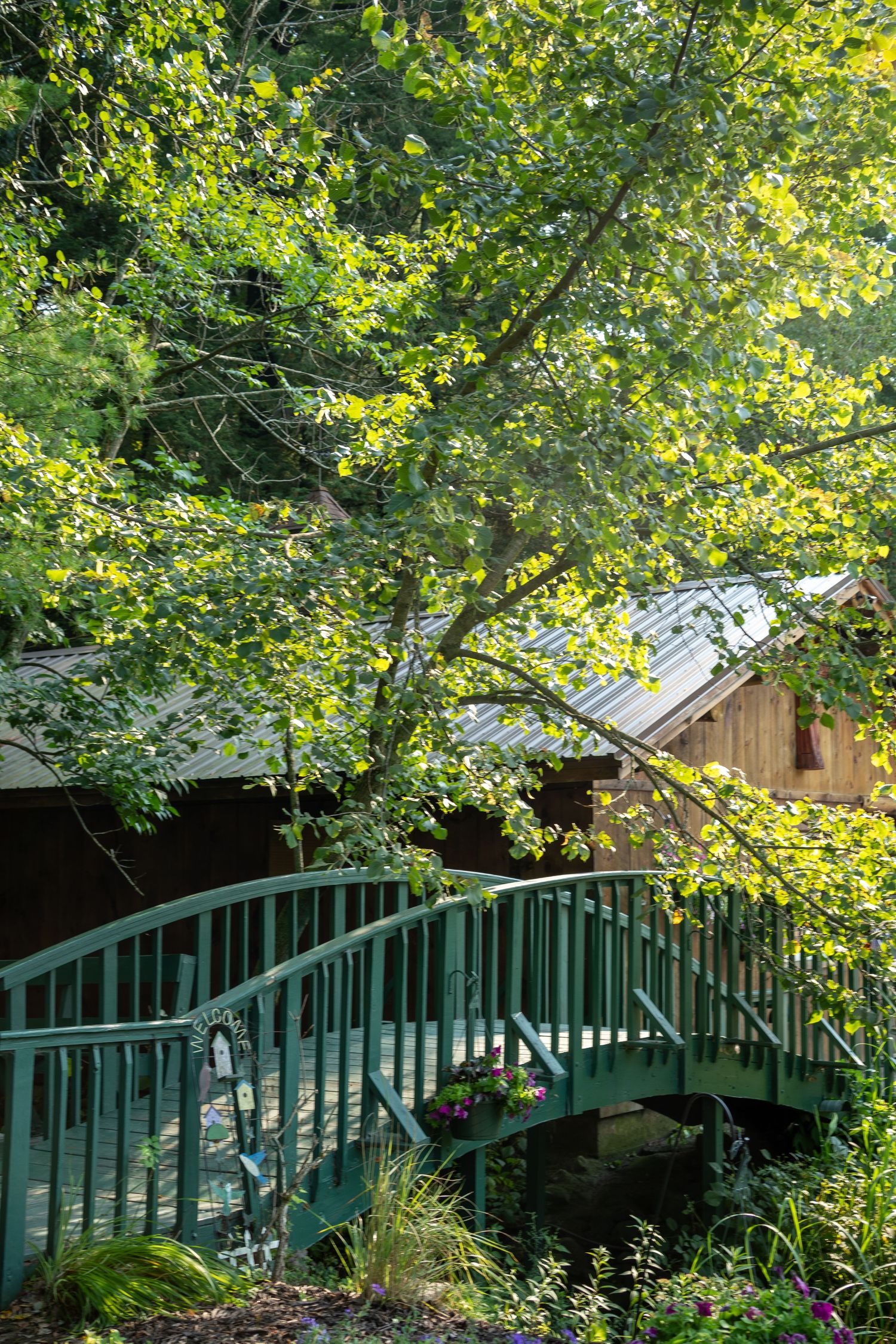 Green arched bridge surrounded by lush trees and vibrant foliage leads to a rustic wooden building in a serene garden setting.
