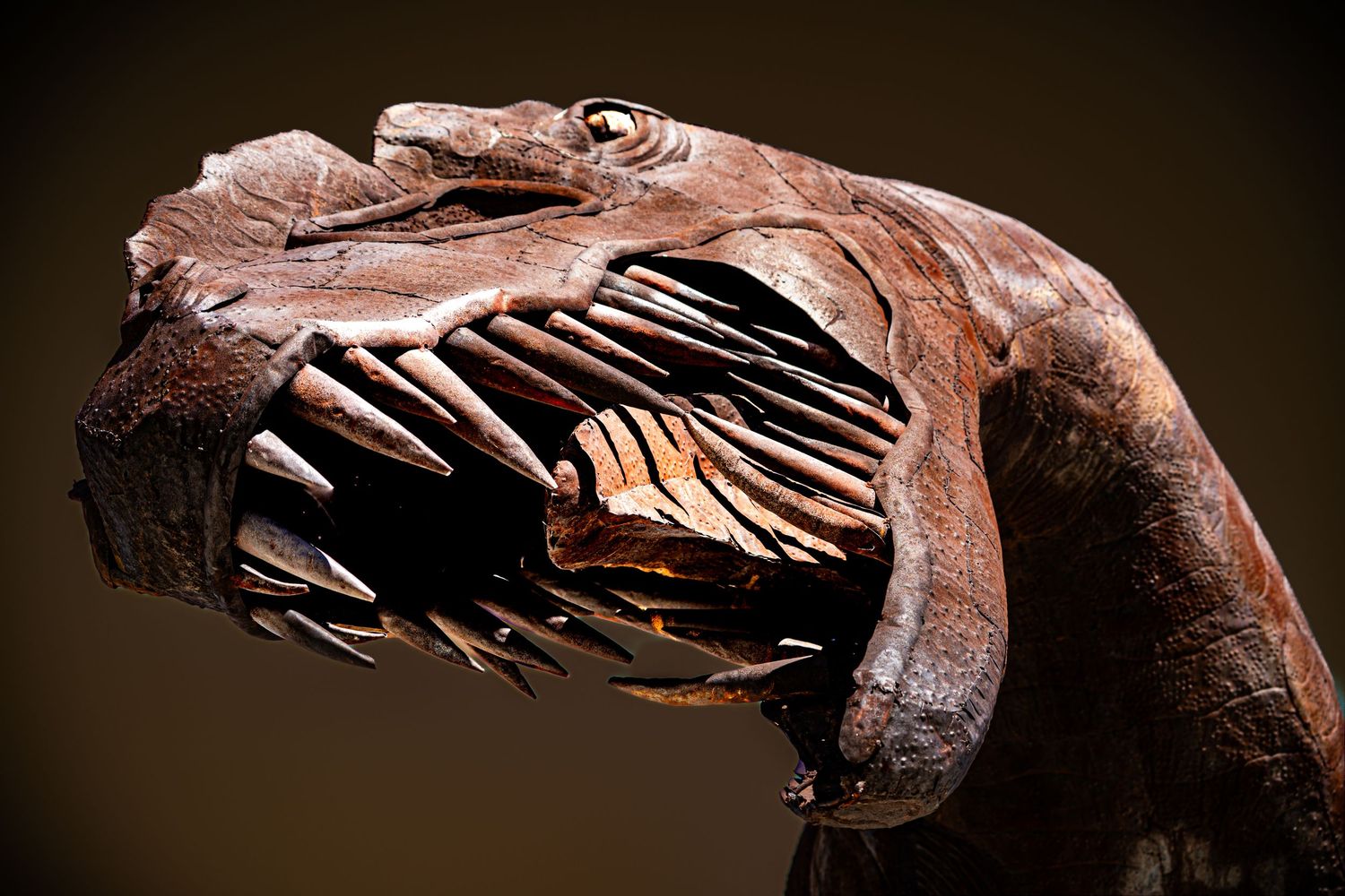 Close-up of a detailed dinosaur fossil sculpture showing sharp teeth and textured skin in dark reddish-brown tones.