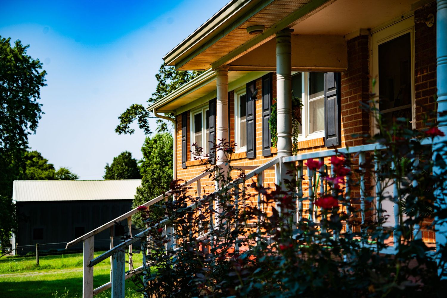 Brick ranch-style home with white columns, front porch, red roses, and lush green trees under a clear blue sky.