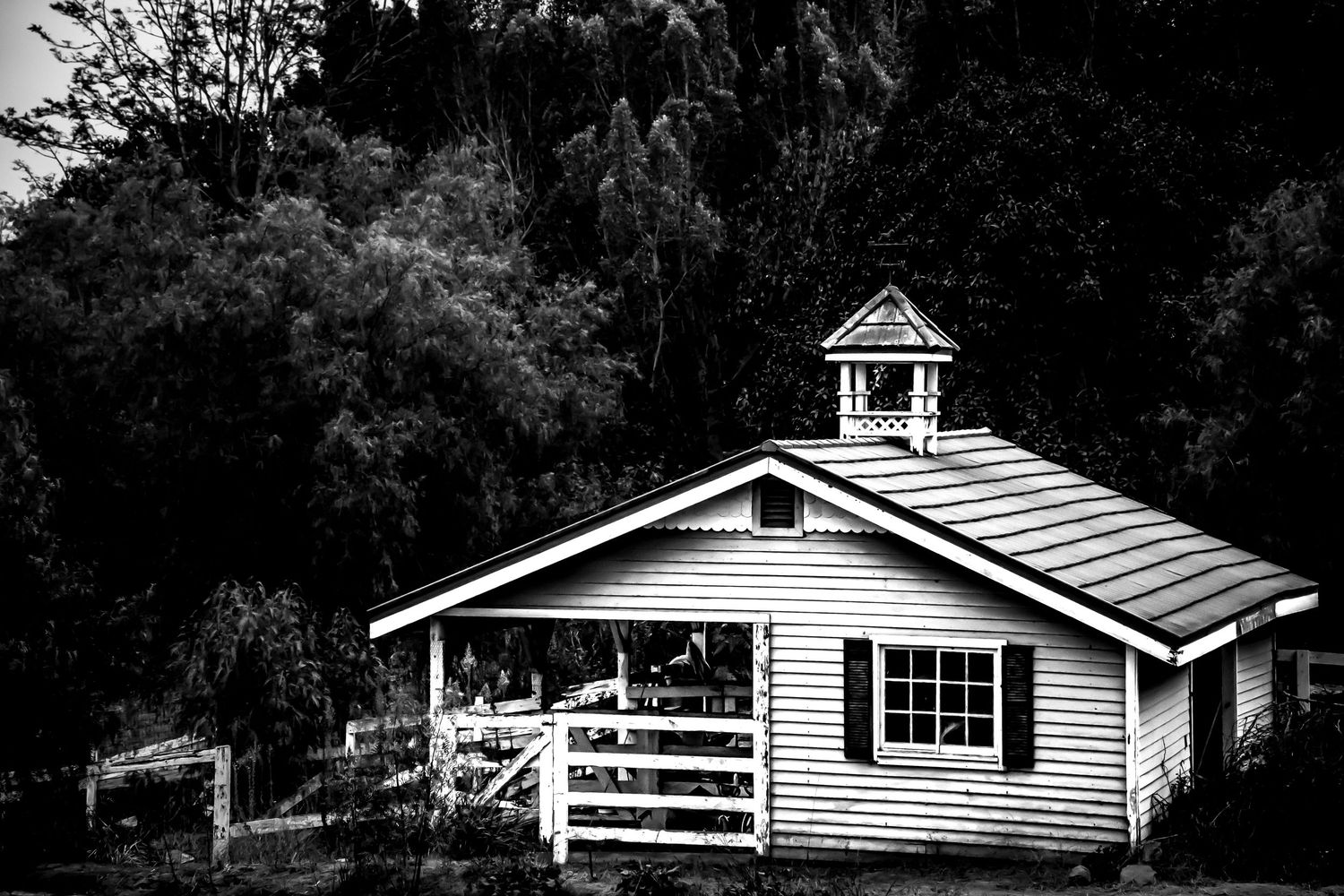 Black and white photo of a charming small white farmhouse with cupola, shutters, and white fence surrounded by trees.