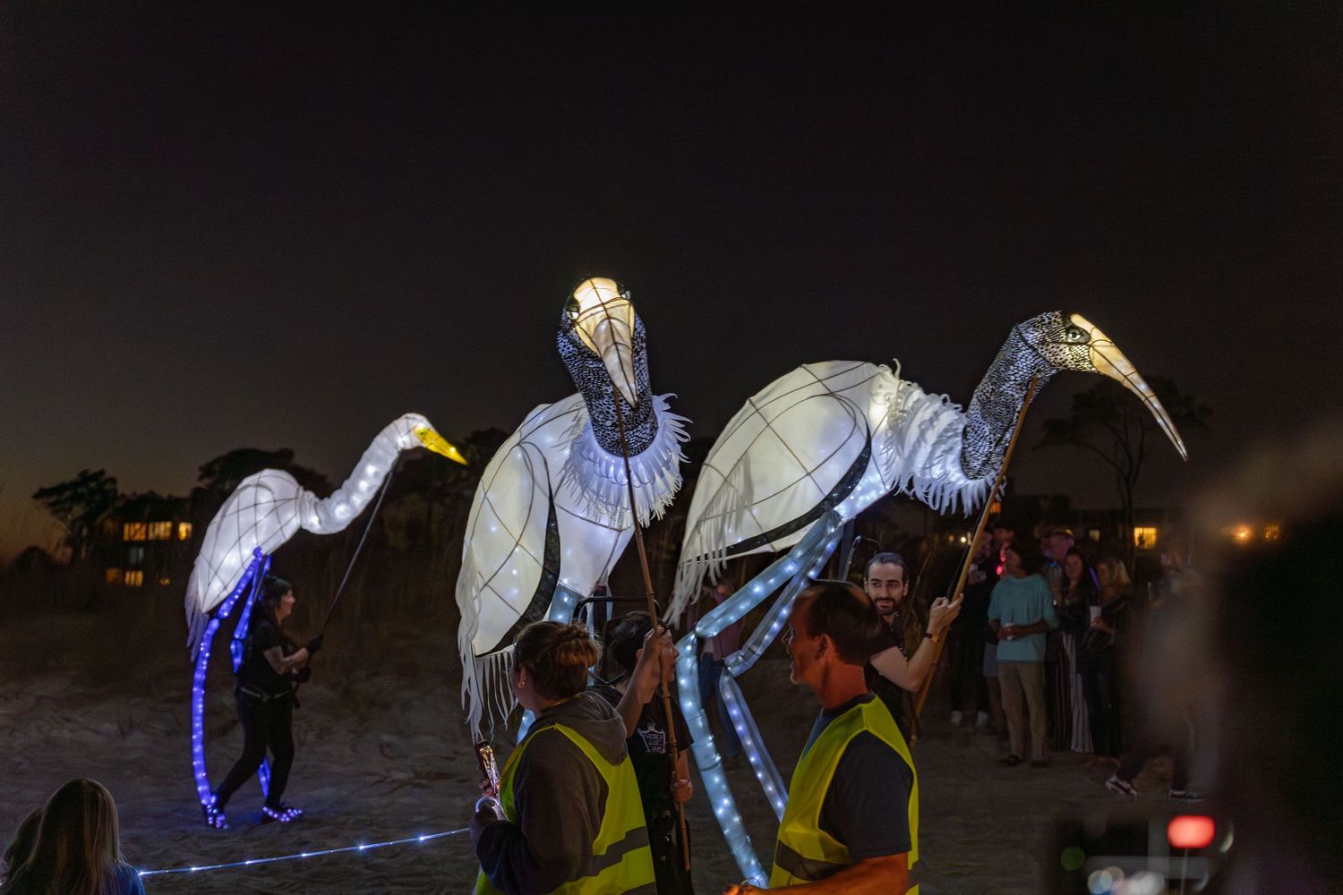 Giant glowing bird lanterns with shimmering lights and long legs moving along the beach during the Hilton Head Lantern Parade.