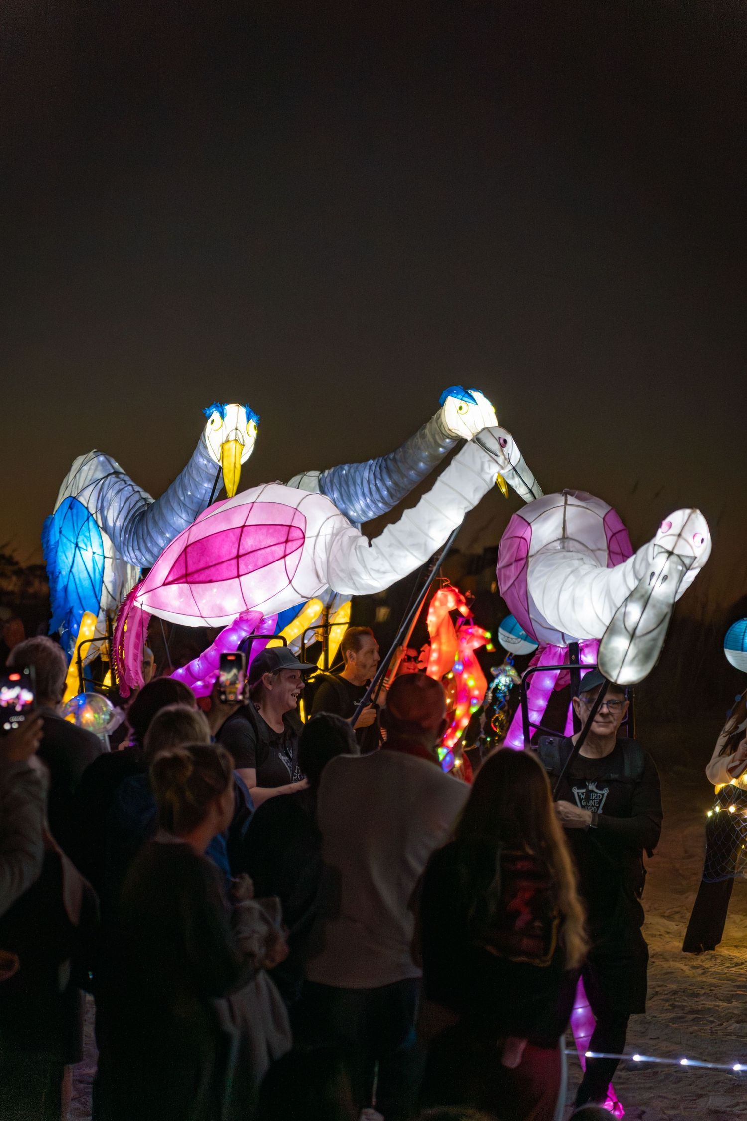 Kids watch vibrant pink, blue, and white bird lanterns carried by performers during the lively Hilton Head Island Lantern Parade.