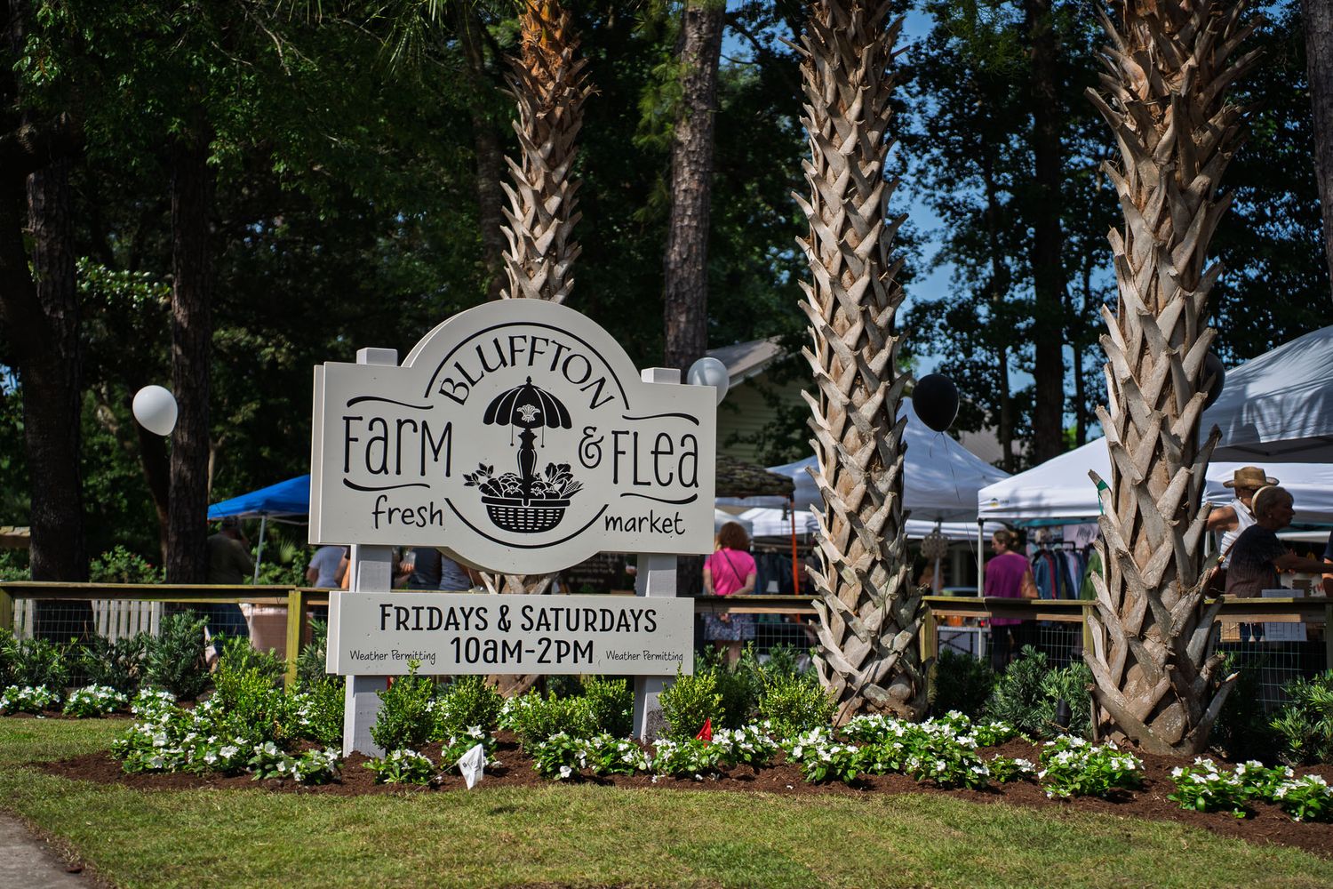 Fresh landscaping and black and white balloons line the entrance walkway to Bluffton Farm and Flea in Bluffton, South Carolina.