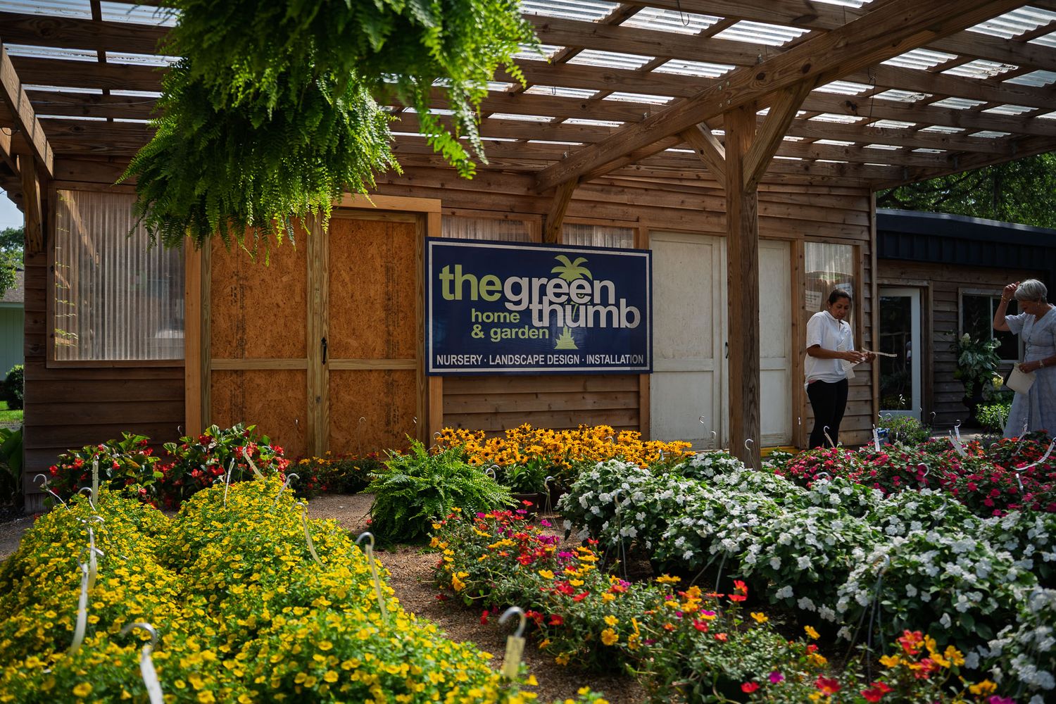 Yellow flowering hanging baskets displayed among garden plants during the Bluffton Farm and Flea grand opening.