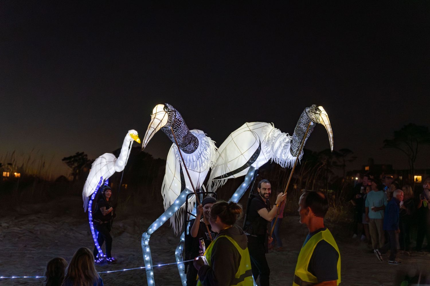 Three glowing bird lantern puppets with long legs and lit bodies walking past spectators at the Hilton Head Lantern Parade.