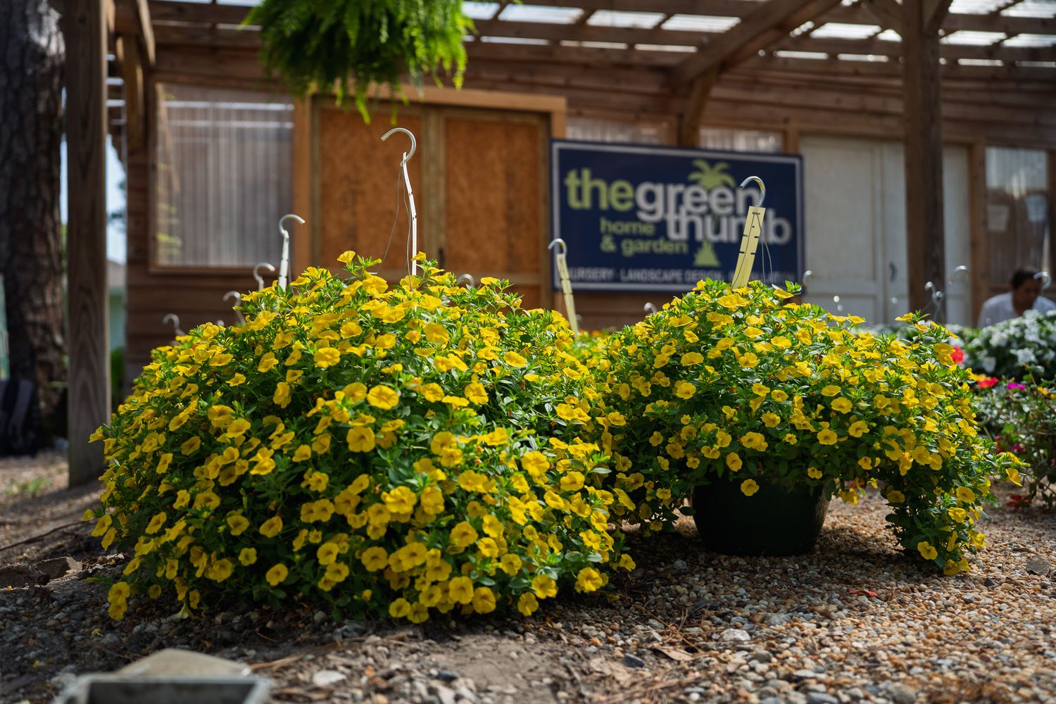 The former Green Thumb Home and Garden building surrounded by colorful flowers at Bluffton Farm and Flea in Bluffton, South Carolina.