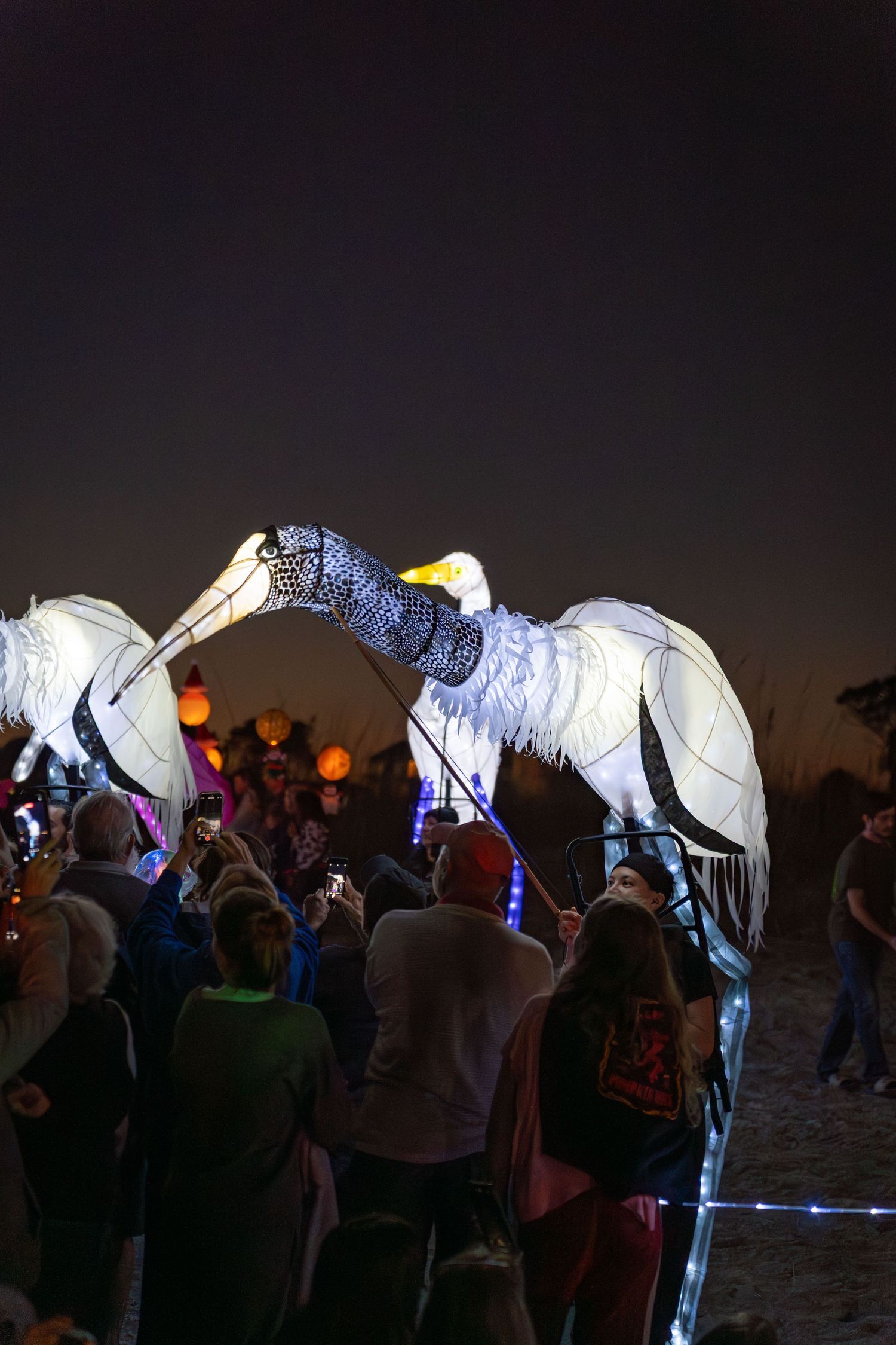 Large illuminated bird lantern with long beak gliding above a crowd during the Hilton Head Island Lantern Parade at night.