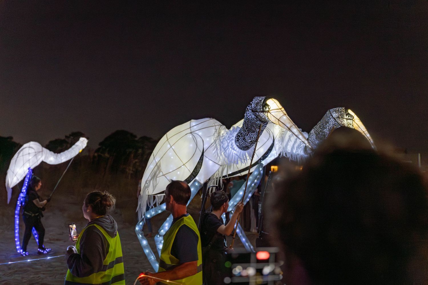 Tall illuminated bird lanterns with glowing wings and long beaks carried by performers at the Hilton Head Island Lantern Parade.