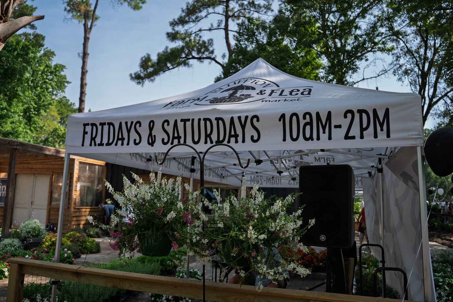 A Bluffton Farm and Flea welcome tent displays weekly market hours of Fridays and Saturdays from 10 AM to 2 PM.