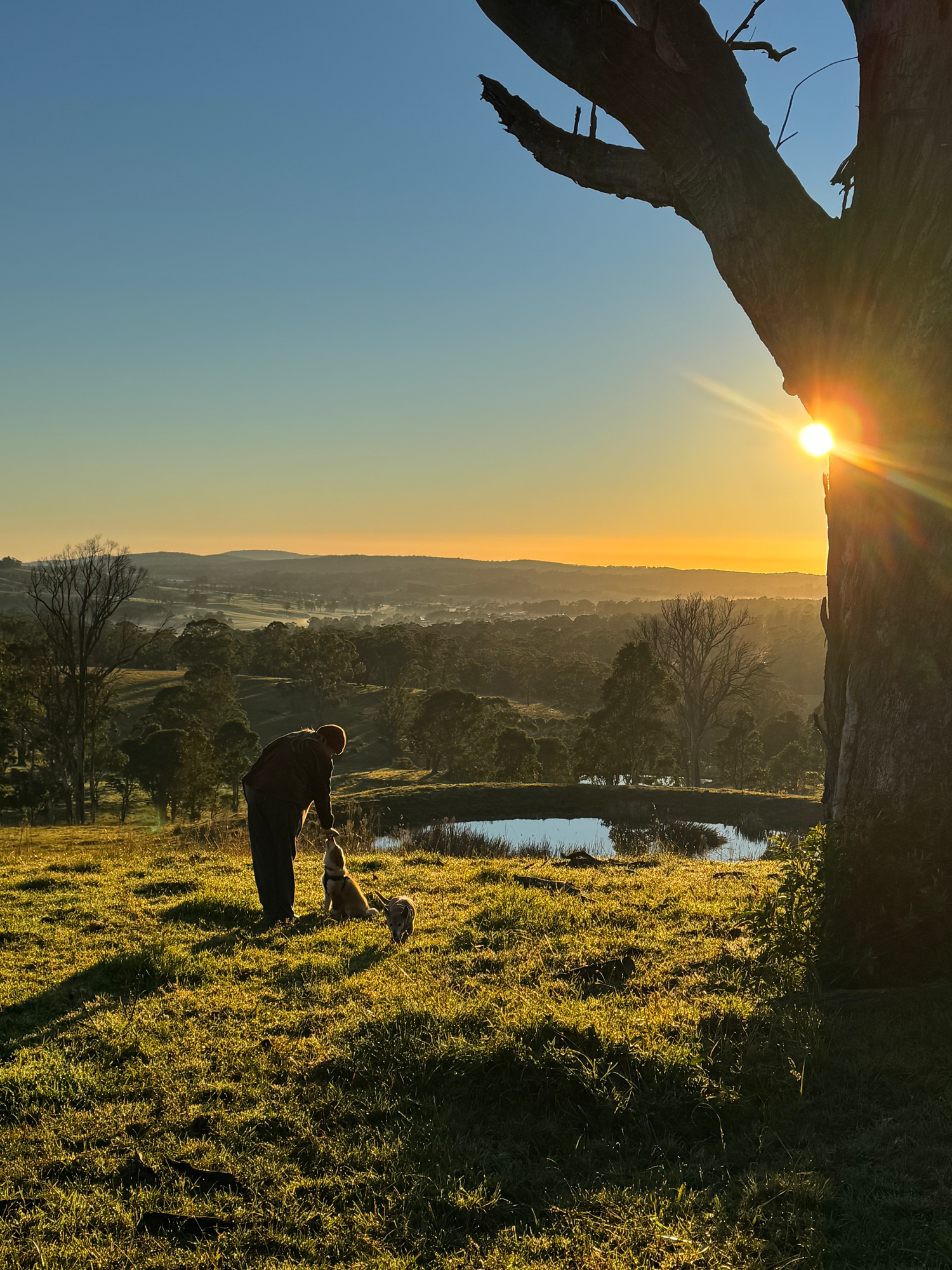 Natural wedding, family and portrait photography by a southern highlands NSW photographer, genuine moments, authentic connection.