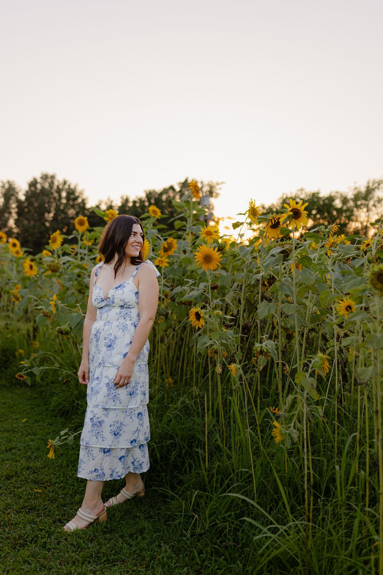 Woman in blue floral midi dress standing beside tall sunflowers in a field at sunset. Tulsa Photographer