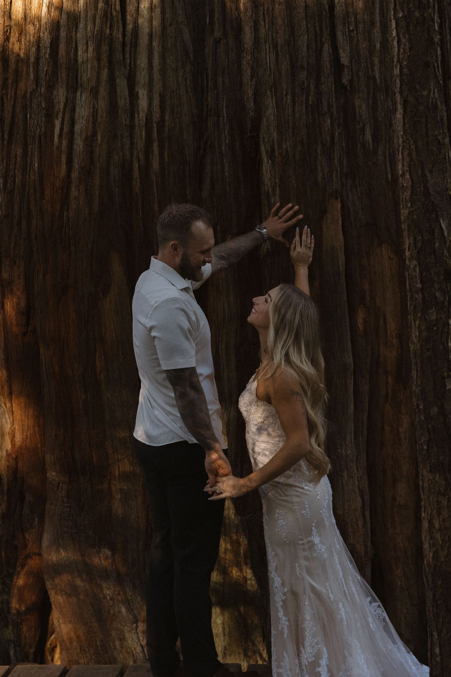 Bride and groom holding hands against a massive redwood tree in forest.