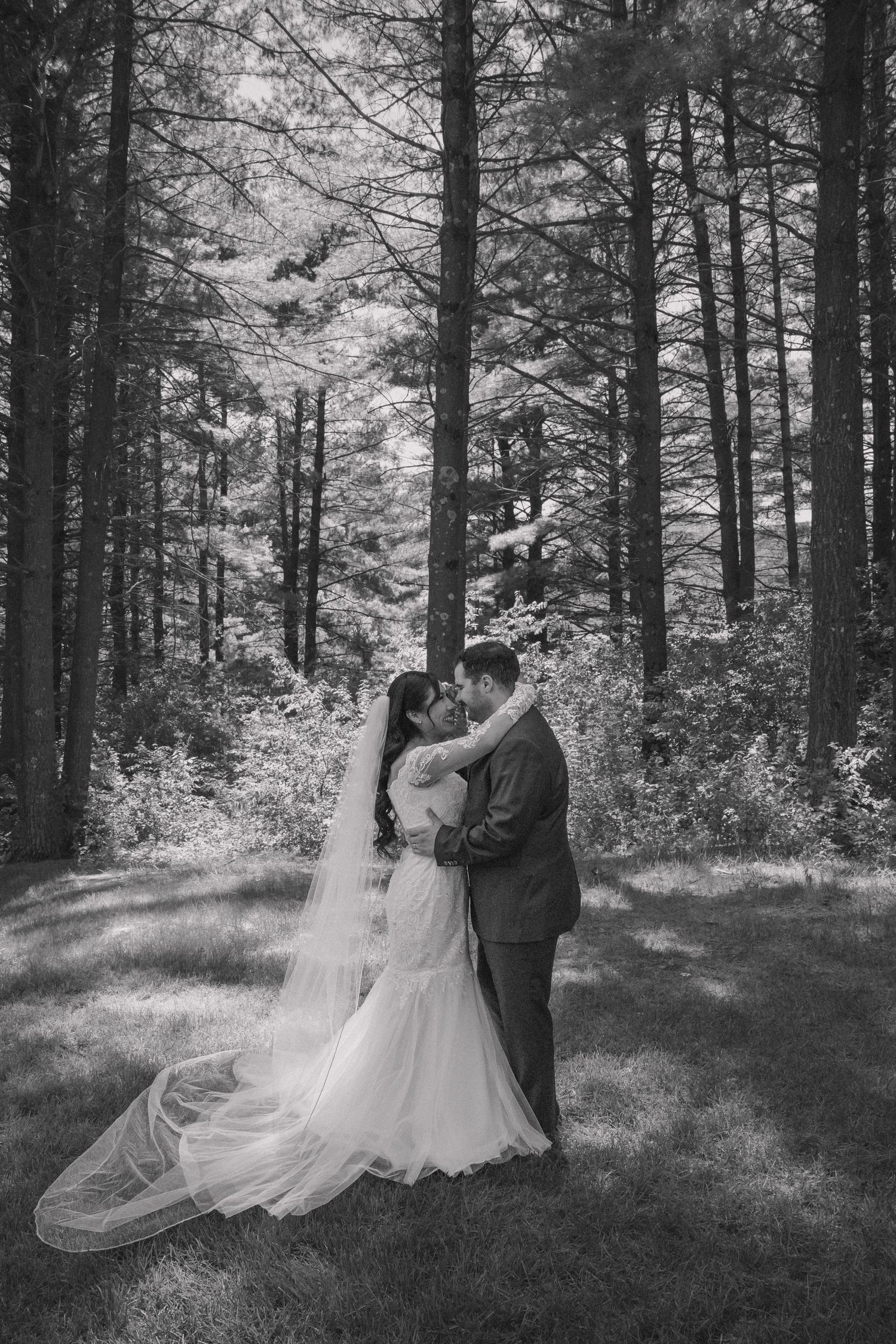 Black and white photo of bride and groom kissing among tall pine trees, her veil trailing gracefully on the grass.