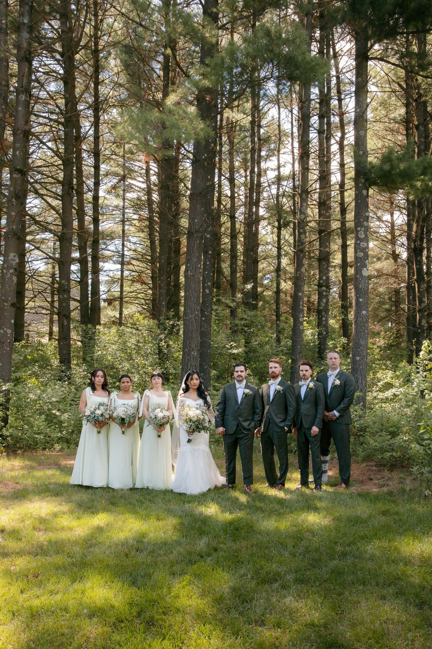 Wedding party poses in sunlit forest, bridesmaids in white gowns and groomsmen in gray suits flanking bride and groom.