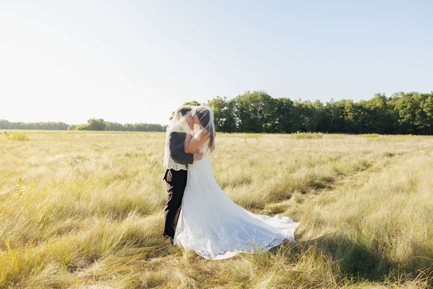 Bride and groom share a romantic kiss in a sunlit golden field with a tree line in the background on their wedding day.