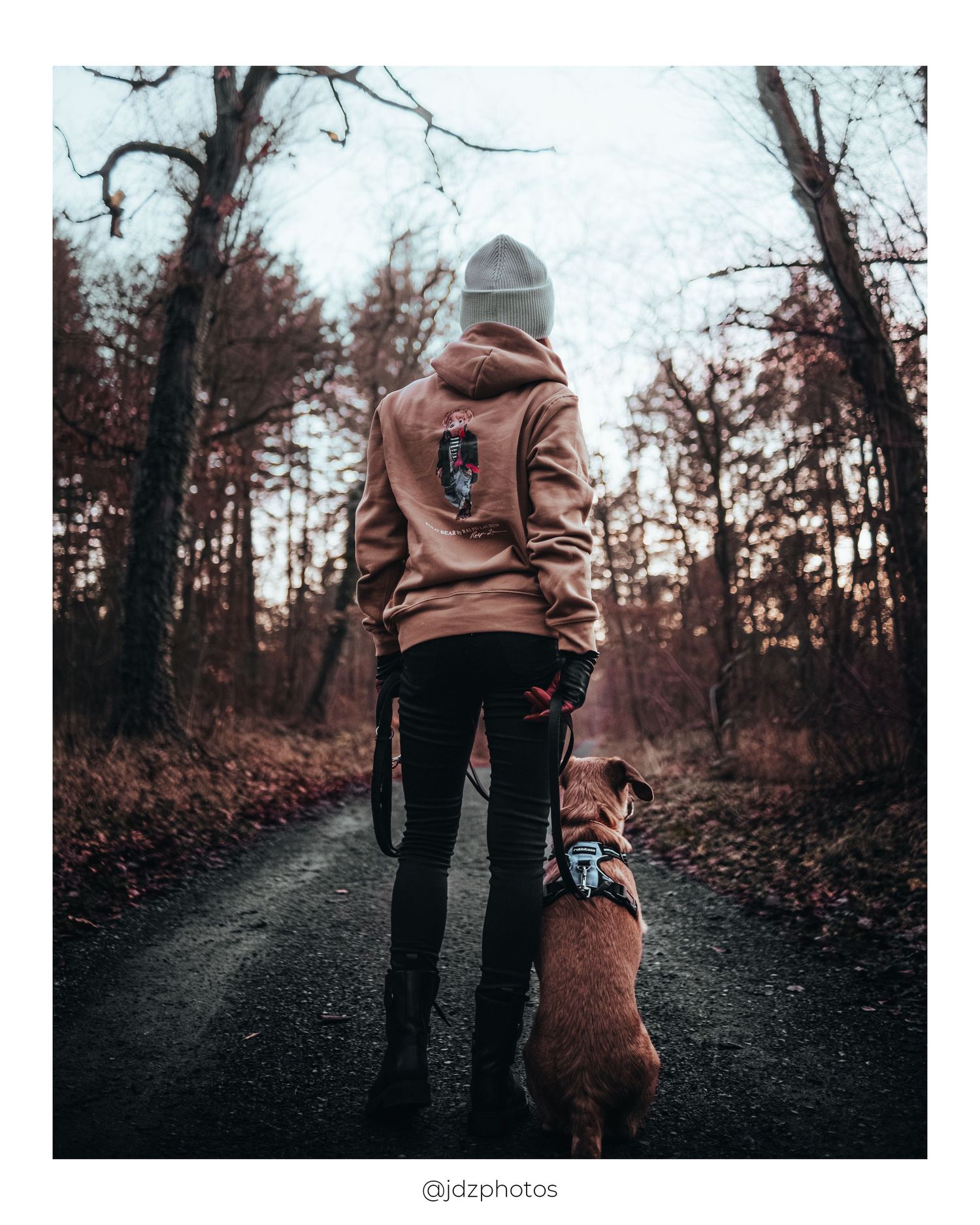 Person in brown hoodie standing on forest path with loyal brown dog companion on an autumn day.