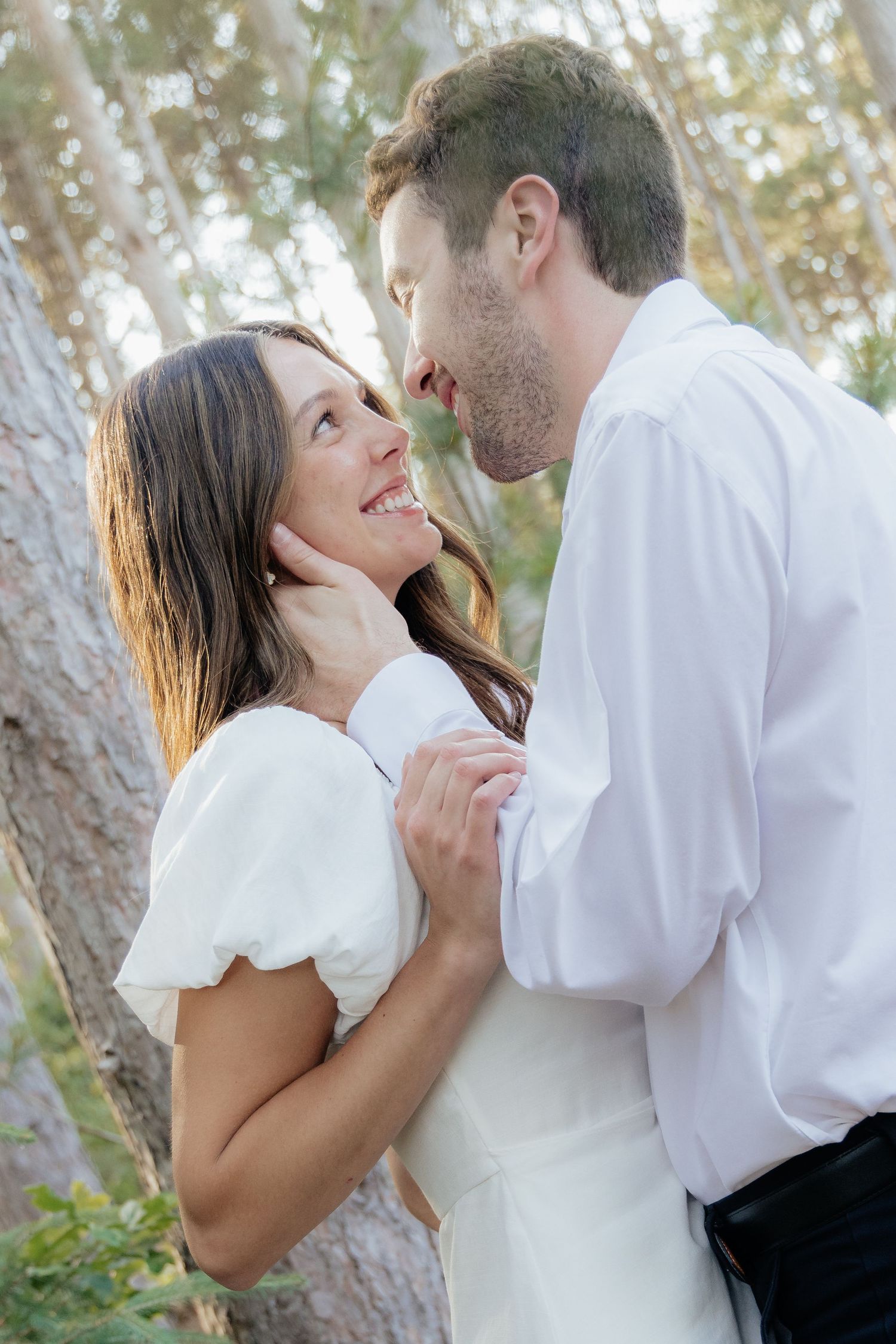 Golden-hour portrait of a couple embracing among tall trees at Pinewood in Cambridge, showcasing woodsy elegance.